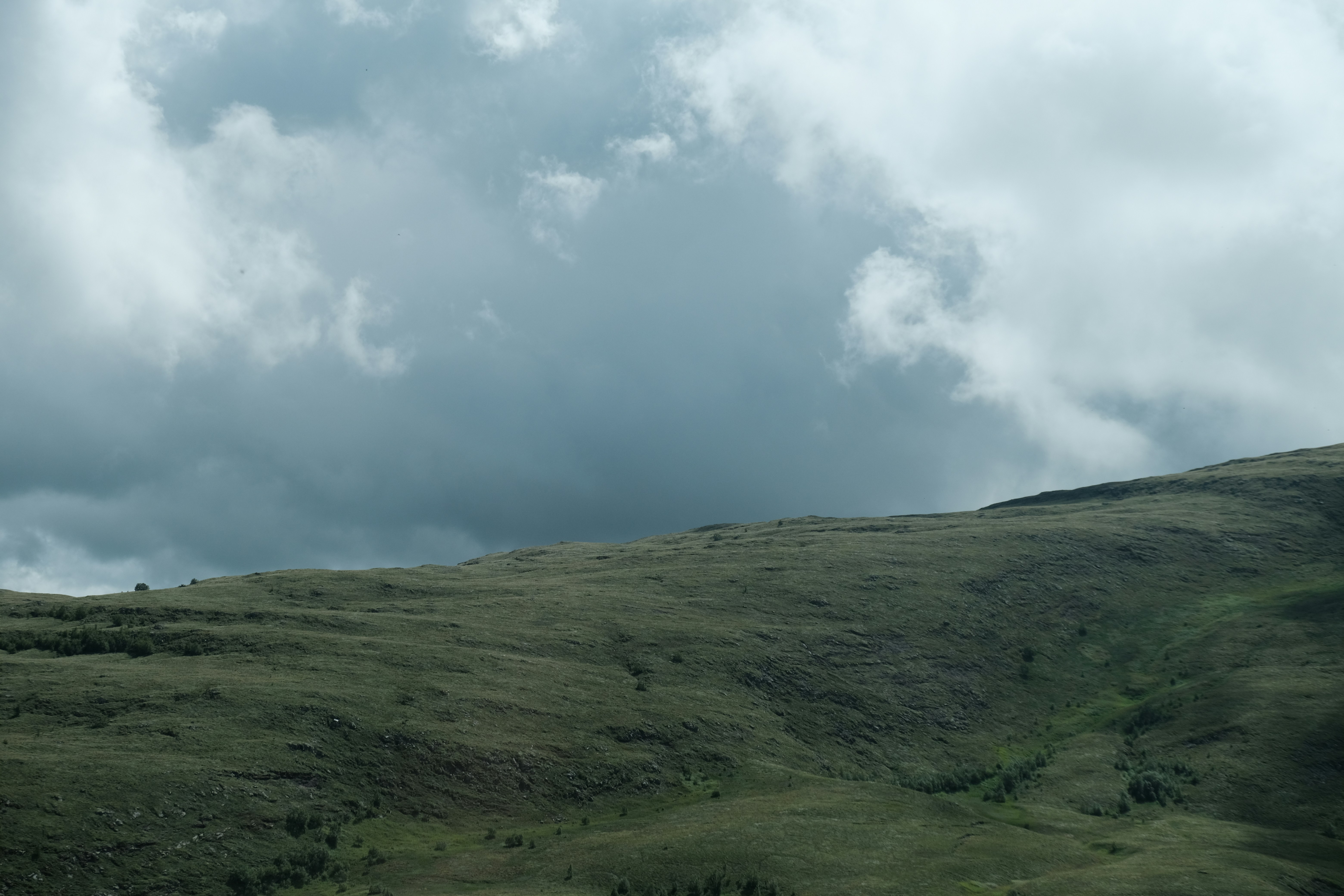 Photo by blank_weiss