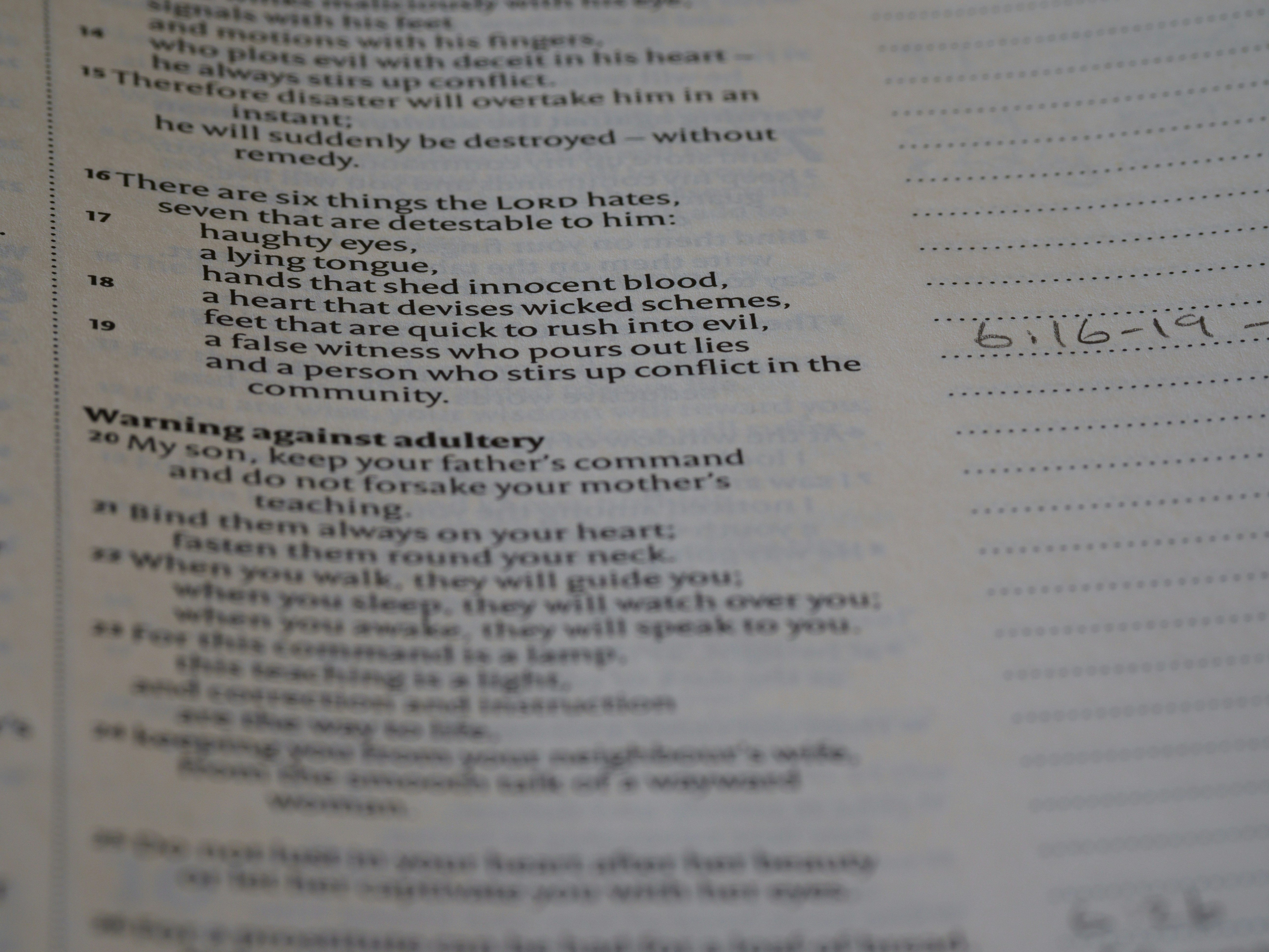 close up, bokeh, macro, blur, blurred background, close focus, bible, old testament, hebrew bible, christian, judaism, history, text, reading, bible study, devotions, text, NIV, New International Version, type, typography, canon, christianity, holy scripture, holy bible, scripture, old testament, hebrew bible, מִשְלֵי, book of proverbs, proverbs of solomon, wisdom literature, ketuvim, anthology, solomon, wisdom, sayings, mashai, folly, values, morality, proverbs, proverb, life skills, ancient wisdom, hebrew wisdom, <br />