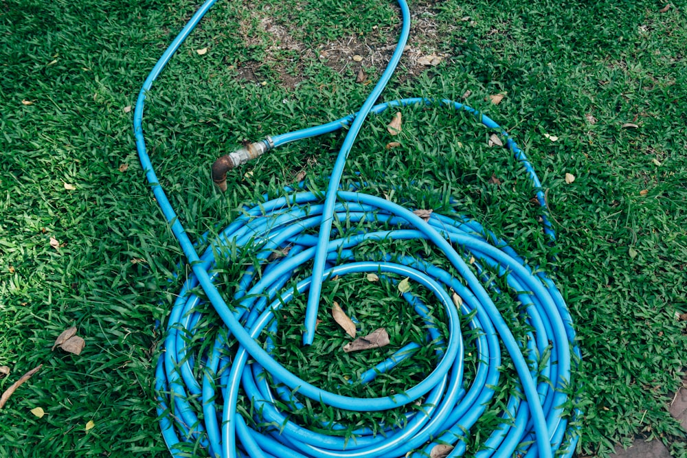 a blue plastic tub on grass