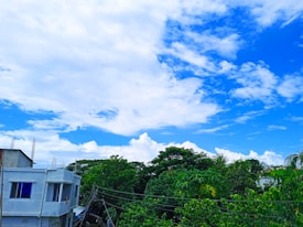 A bright sky filled with scattered clouds forms a backdrop to a lush green landscape. Below the sky, a white residential building with a blue window stands, surrounded by abundant trees. Power lines run across the scene, adding an urban touch to the otherwise natural setting.