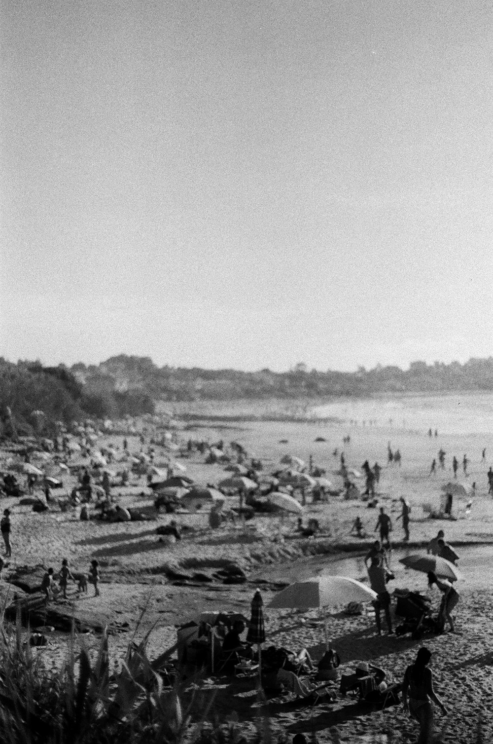 people on a beach