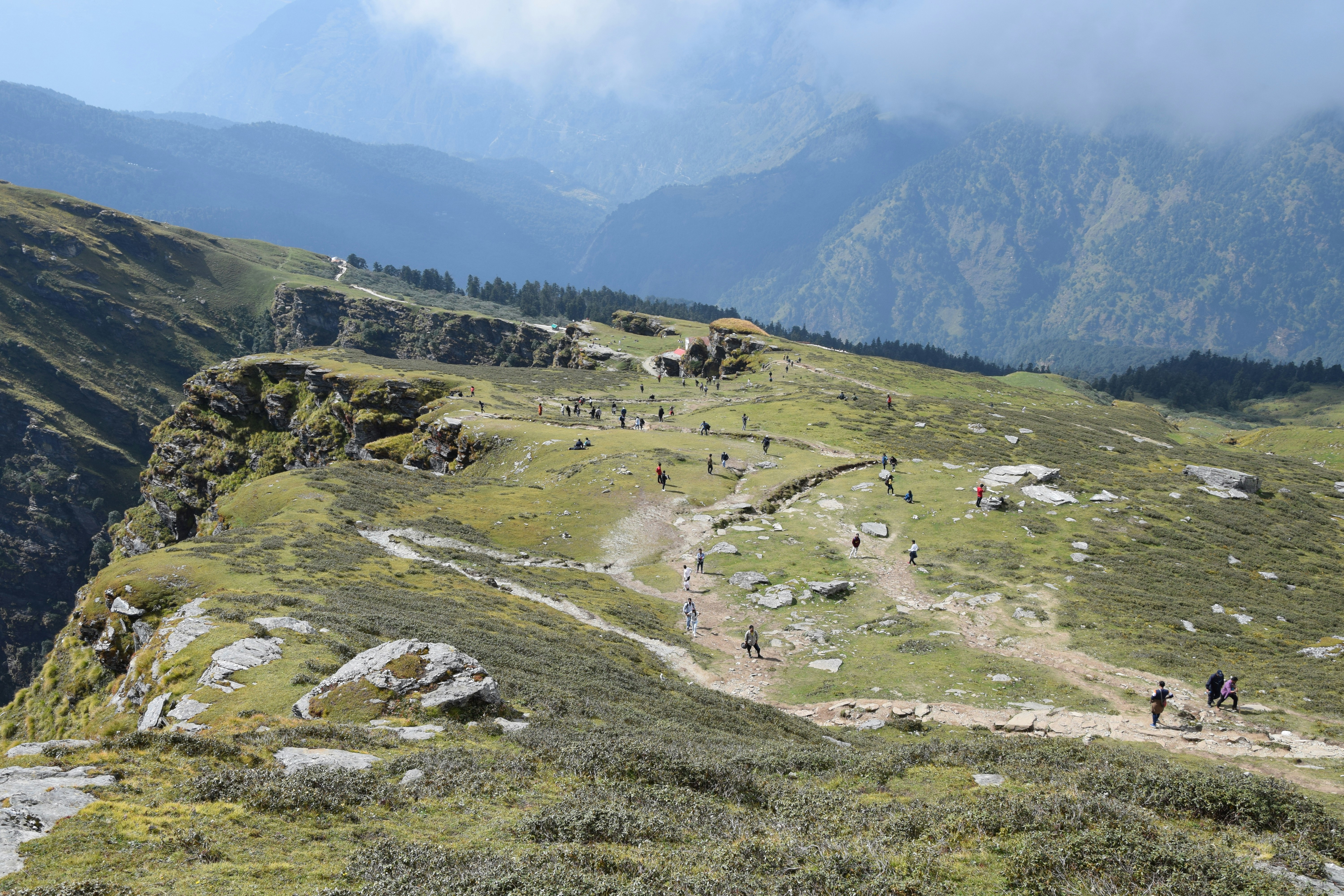 a group of people walking on a grassy hill