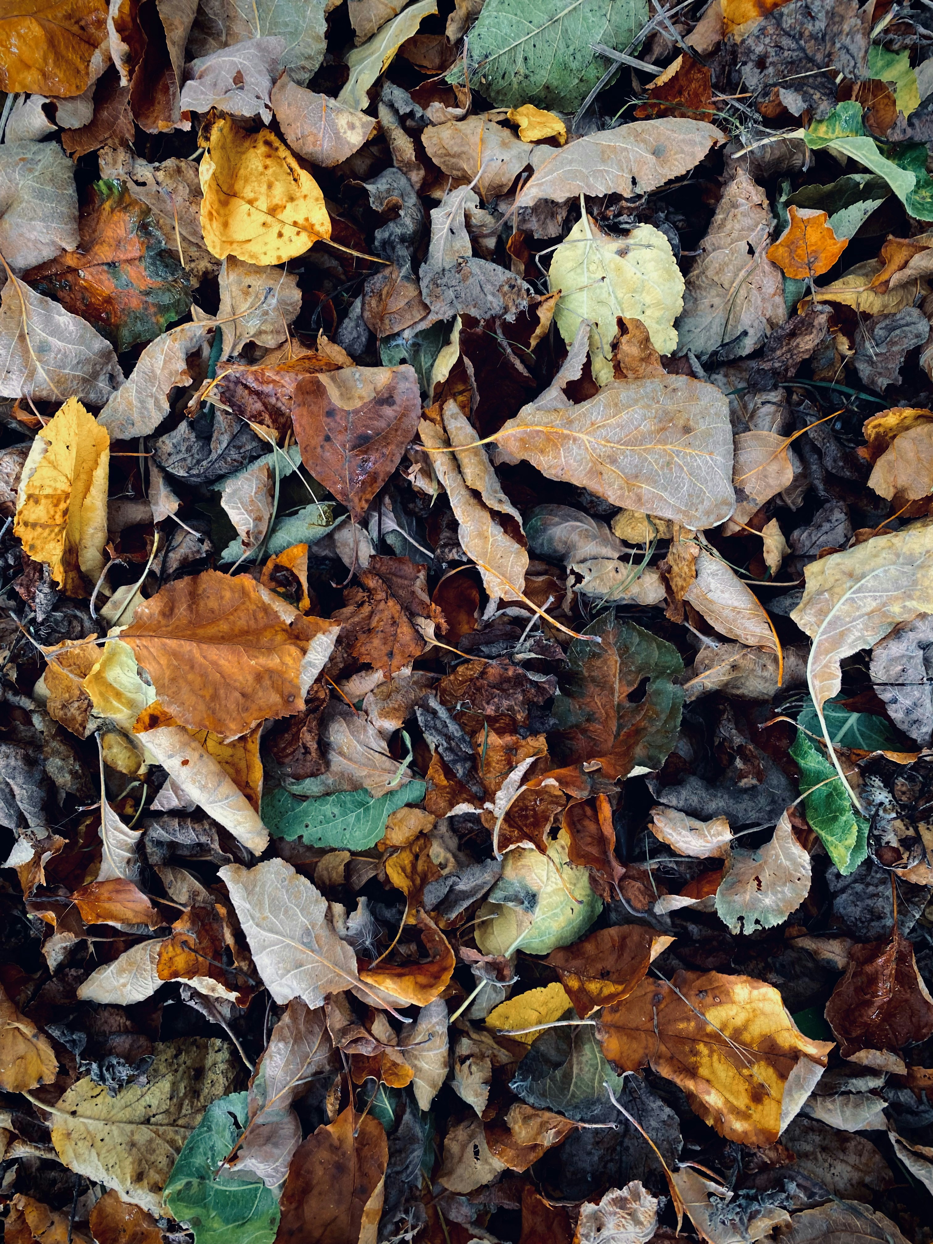 Photo by eugene_golovesov