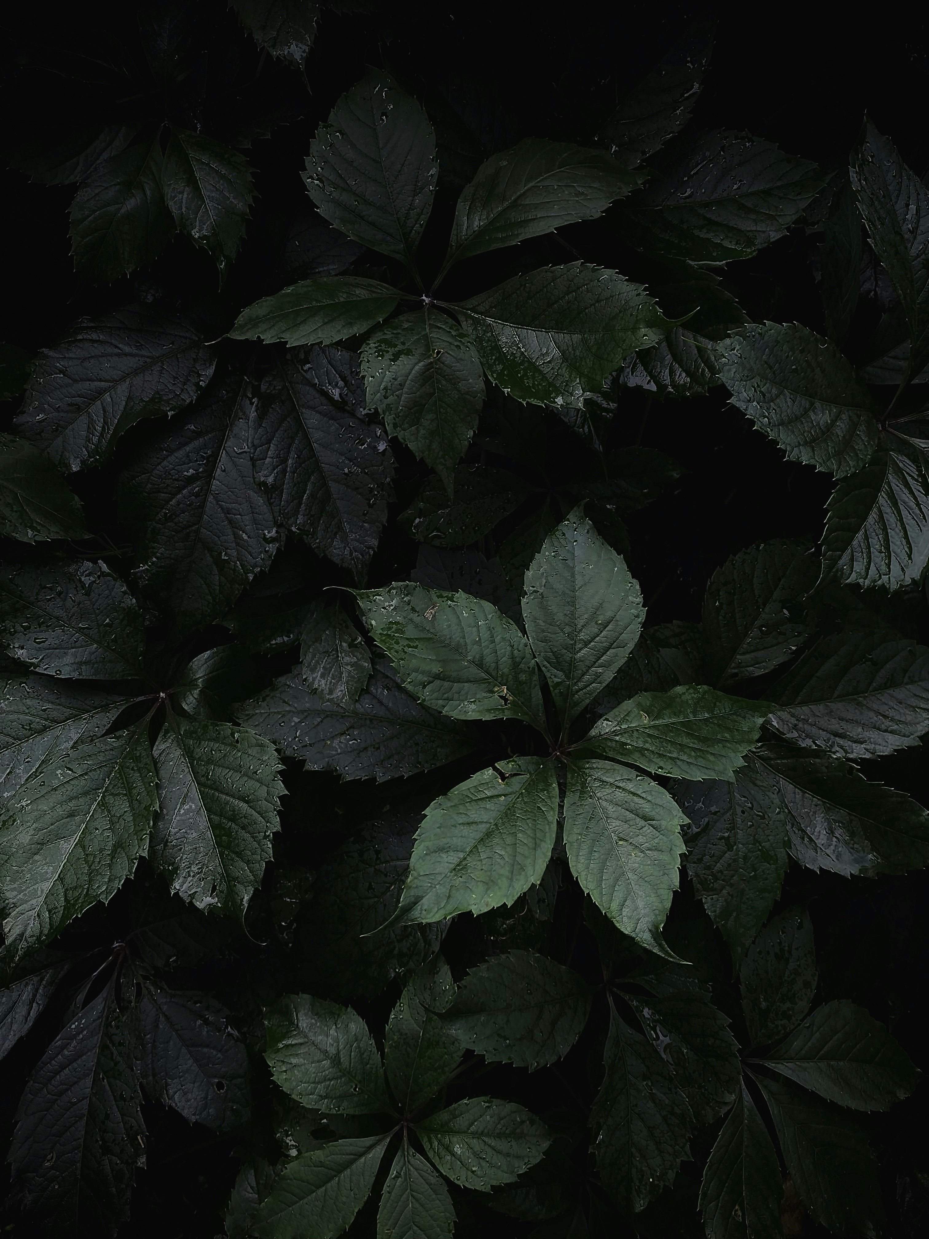 Photo by eugene_golovesov