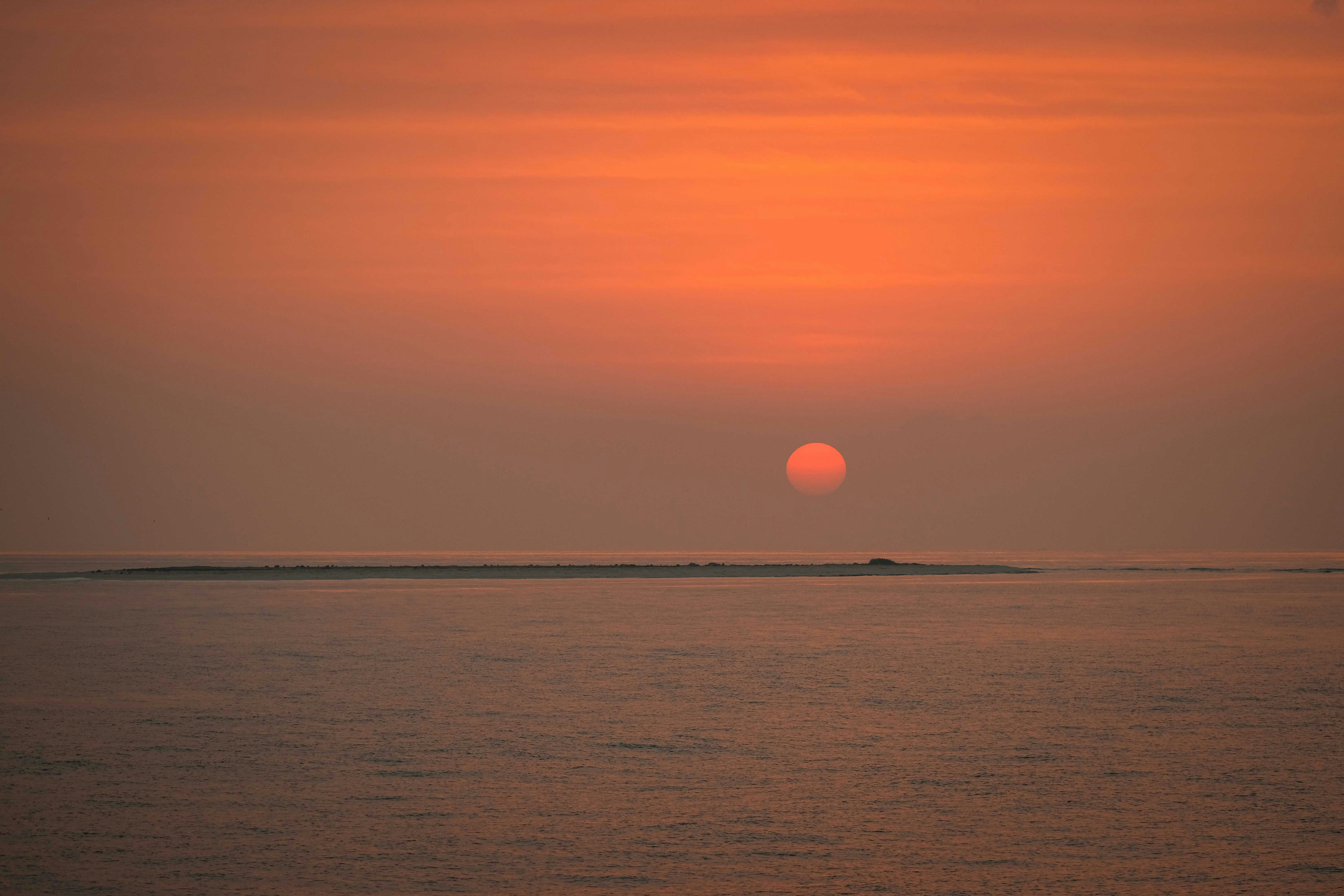 Photo by francesco_ungaro