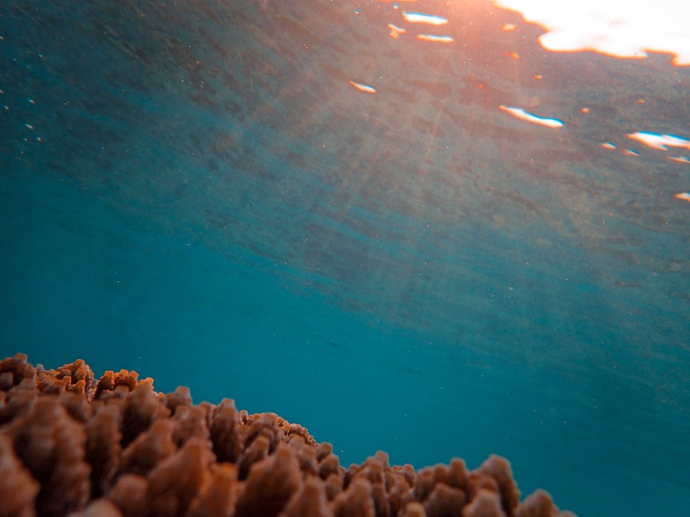 a body of water with rocks and a blue sky