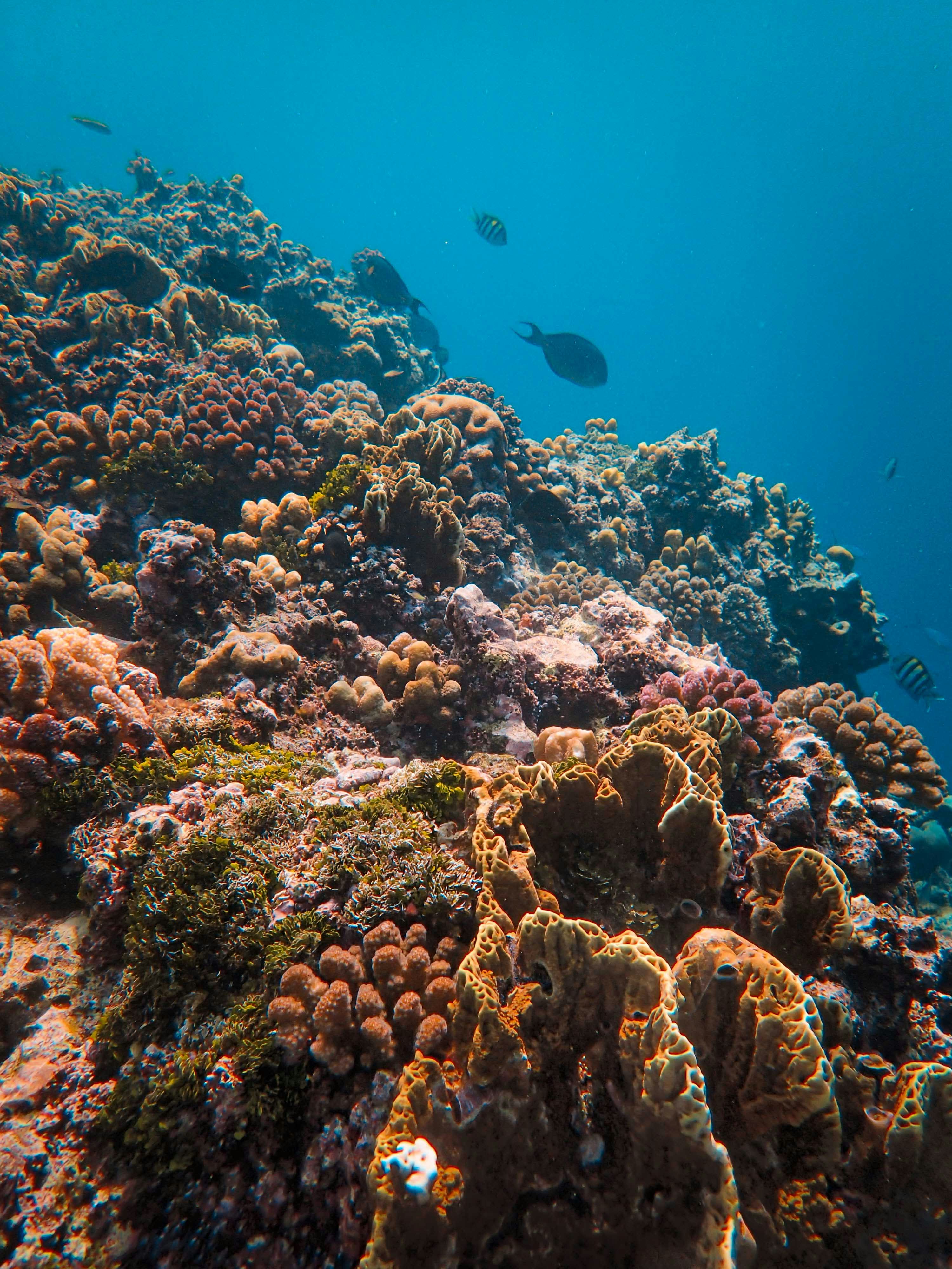 Photo by francesco_ungaro