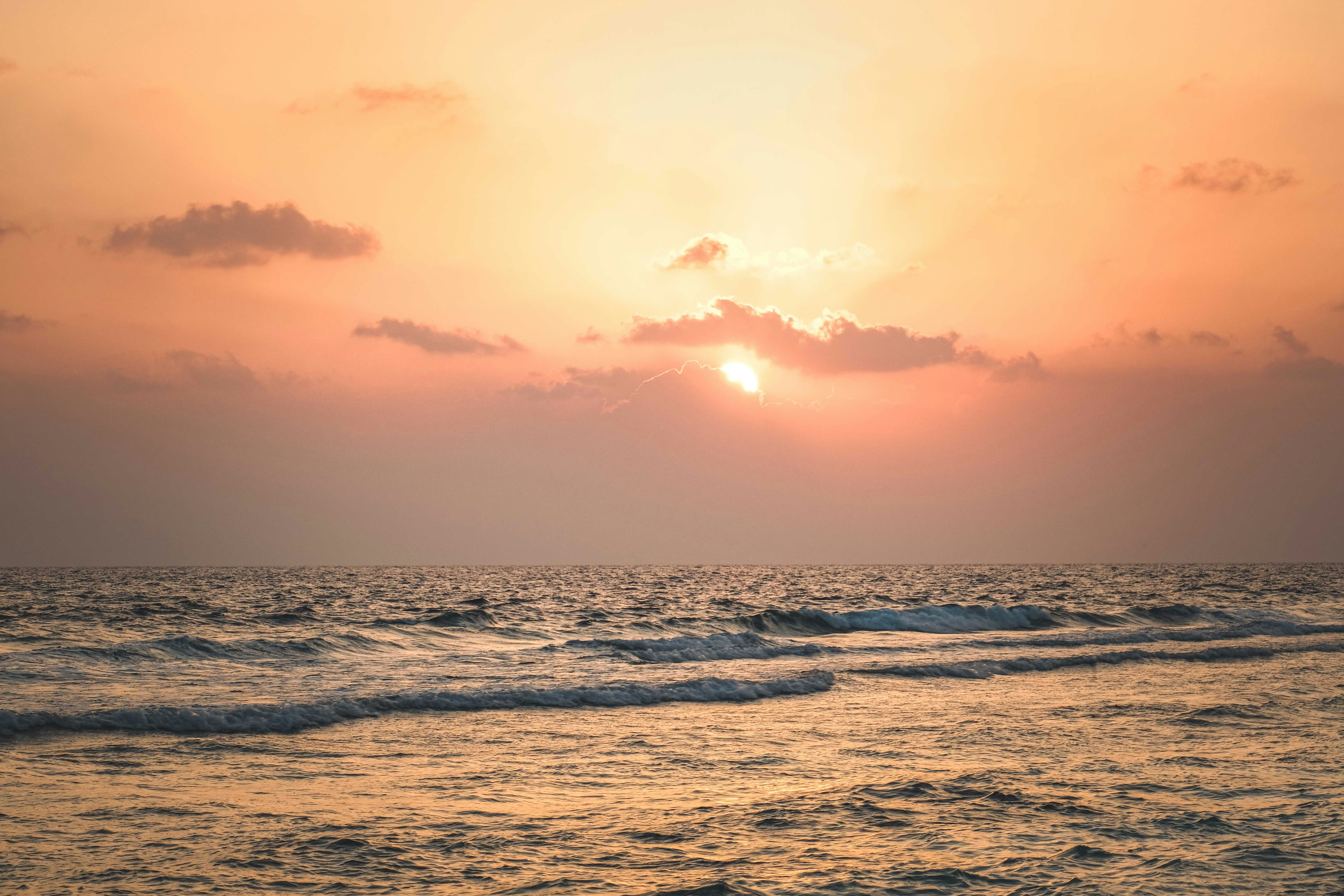 Photo by francesco_ungaro