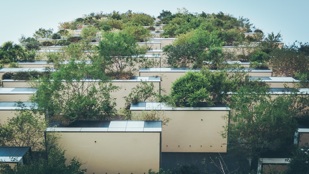 un edificio con alberi nella parte anteriore