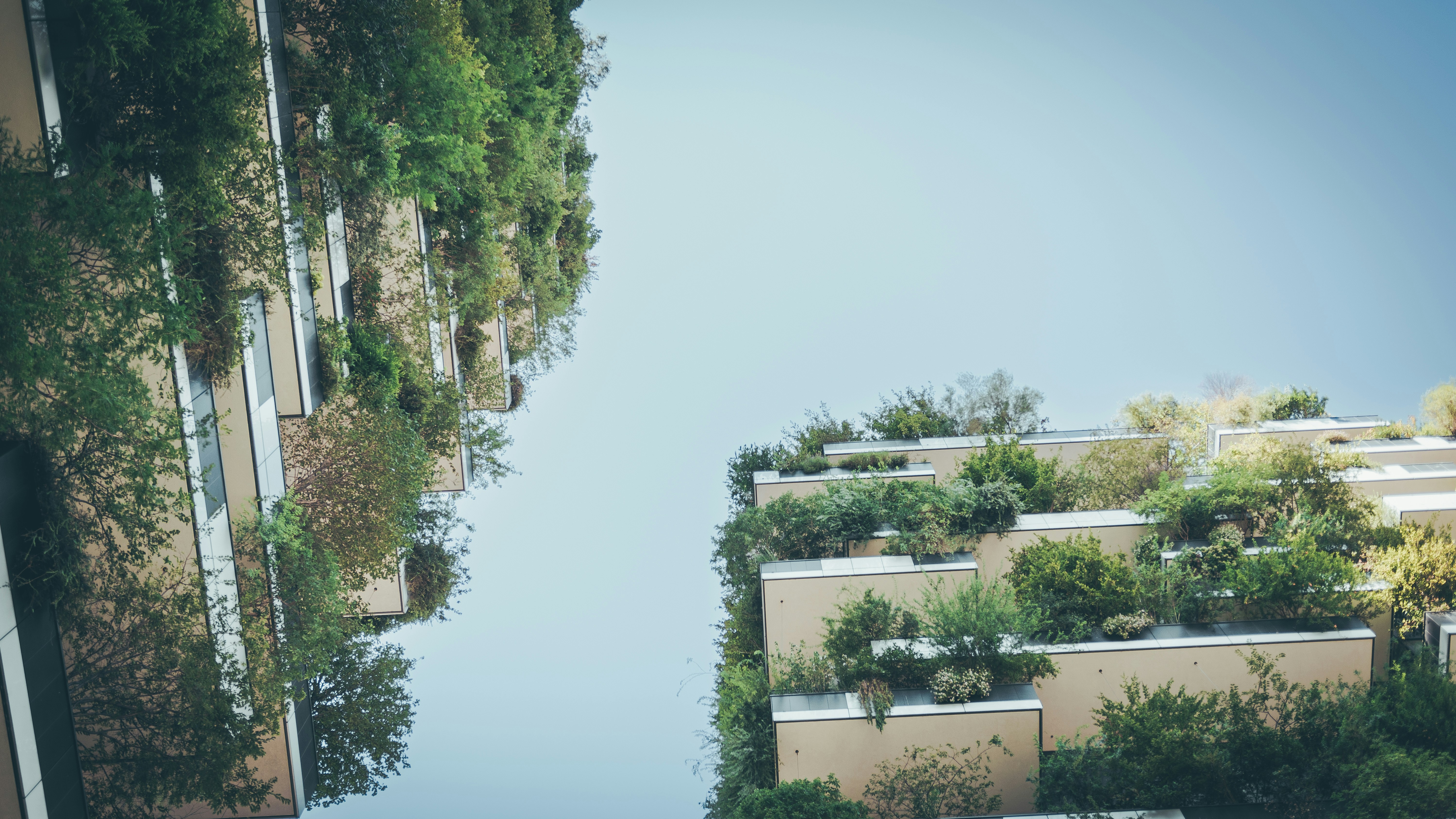 Photo by milica_spasojevic