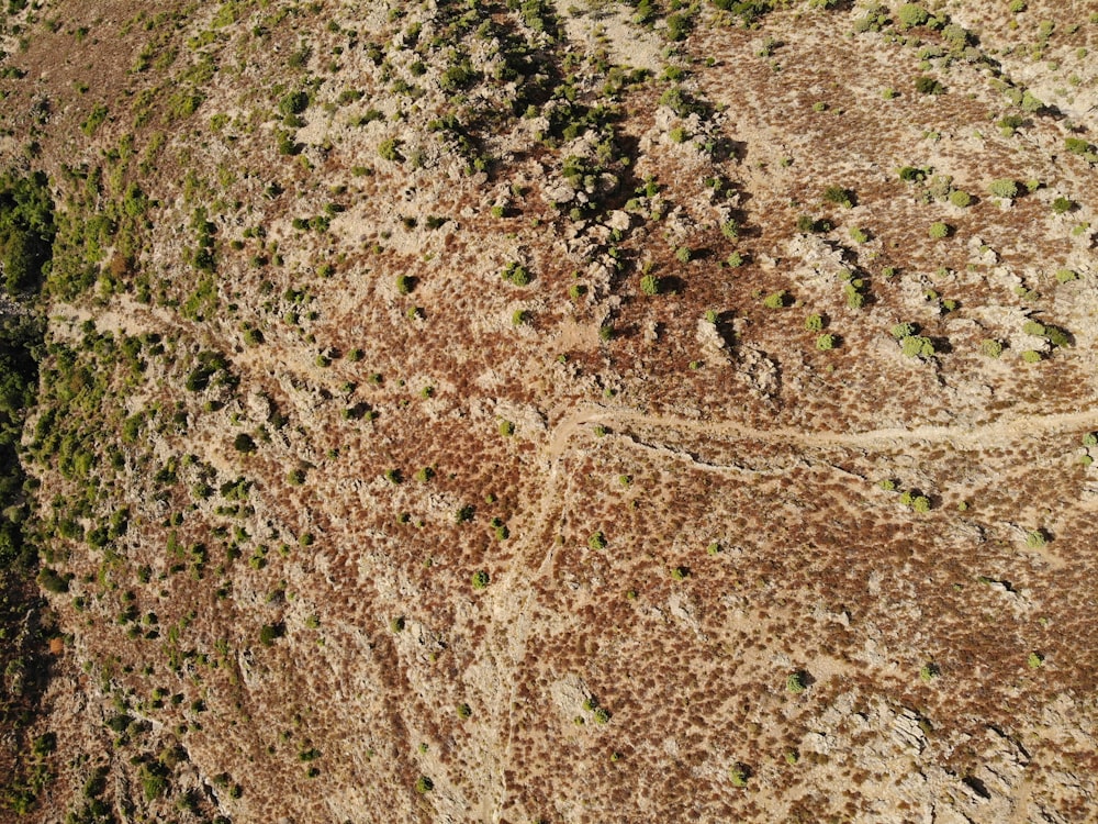 a close-up of a dirt field