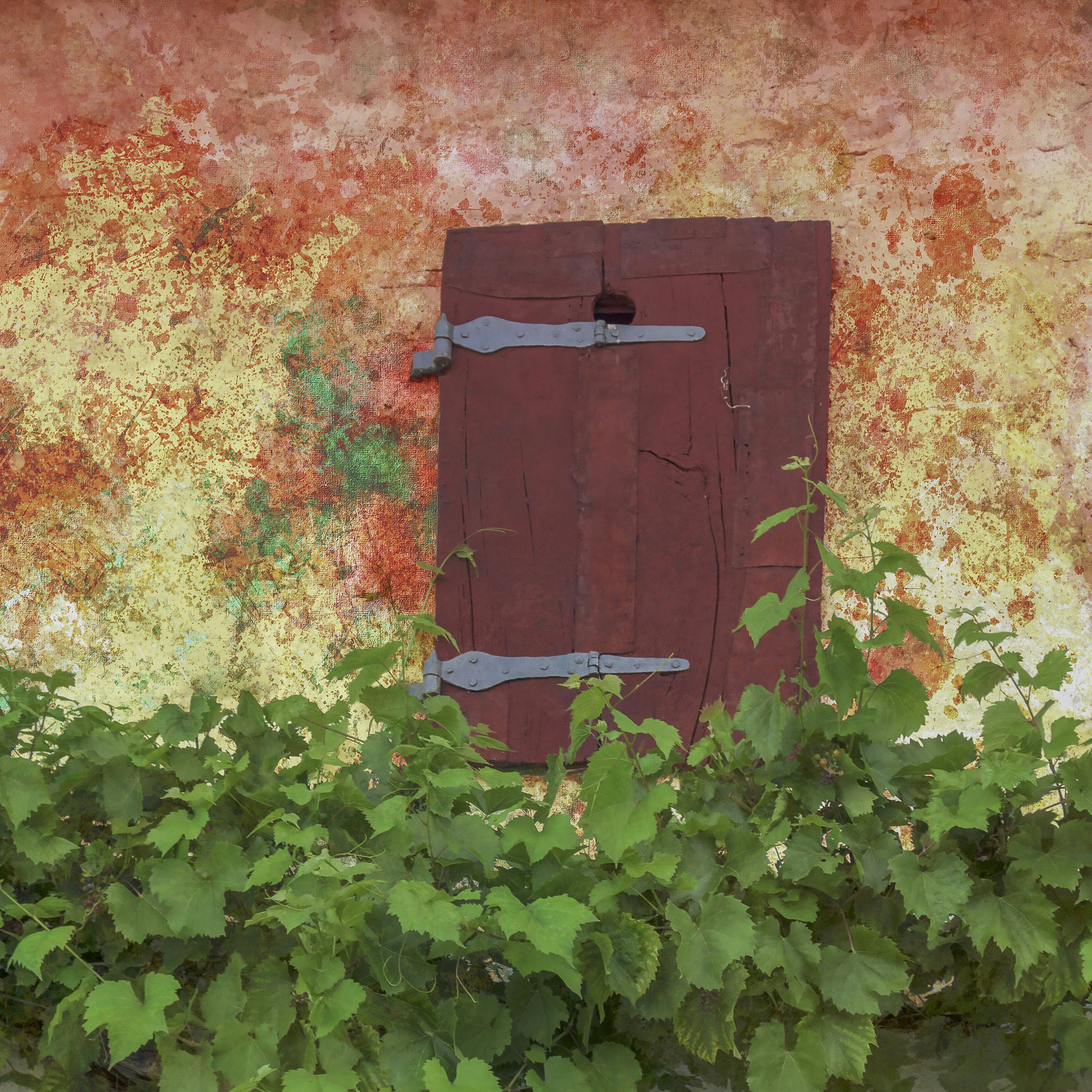 a door with a handle