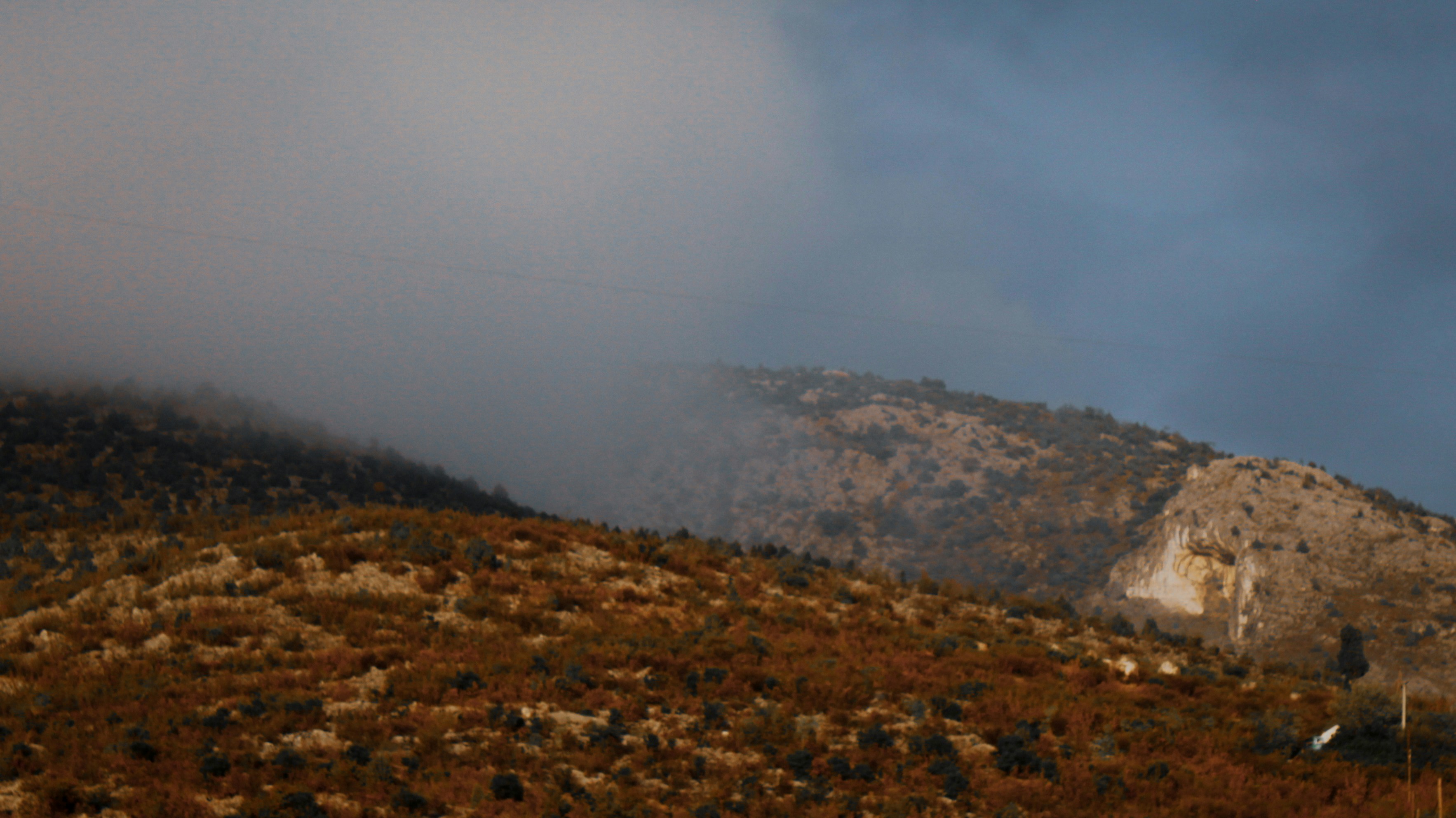 Photo by lensensational