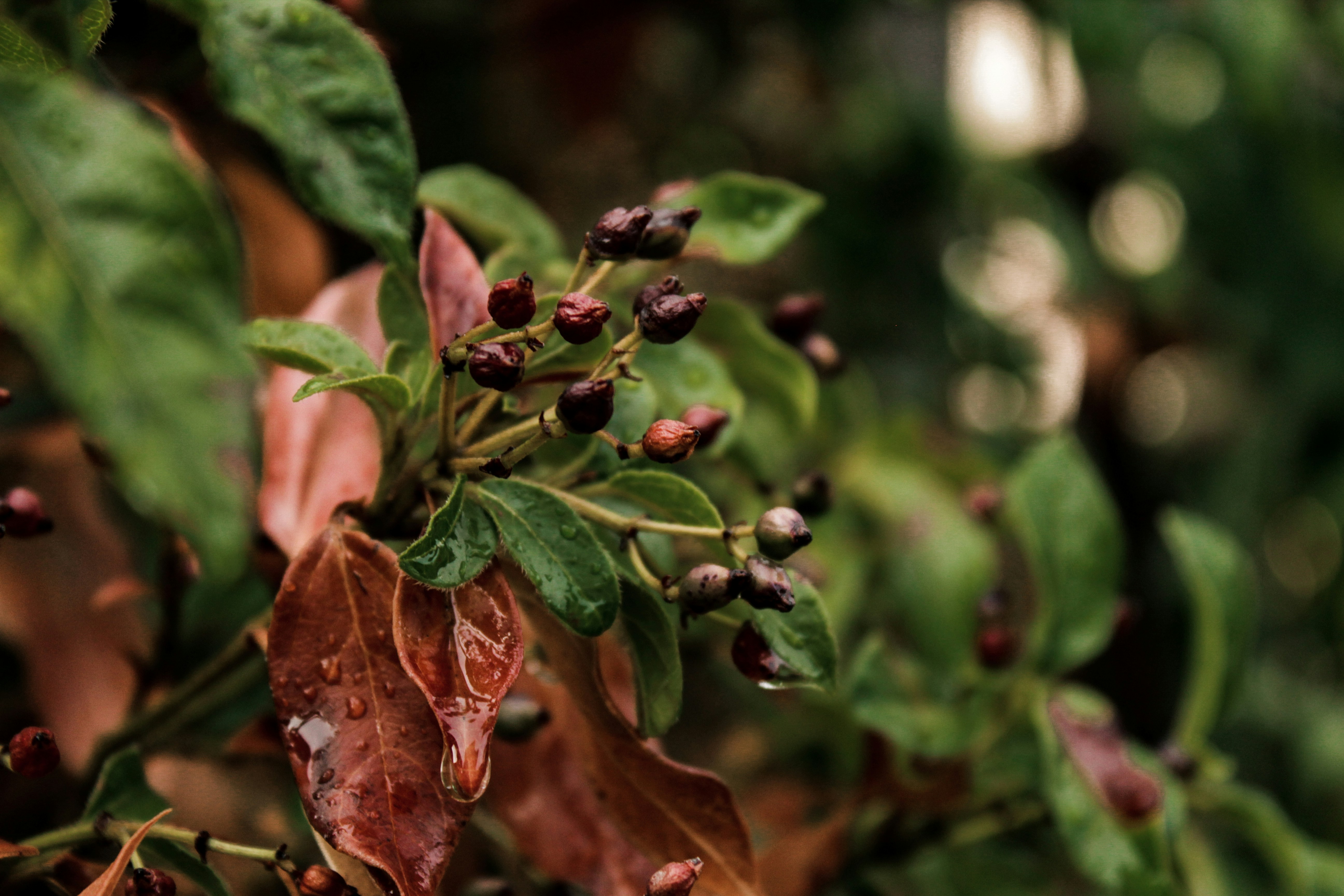 Photo by lensensational