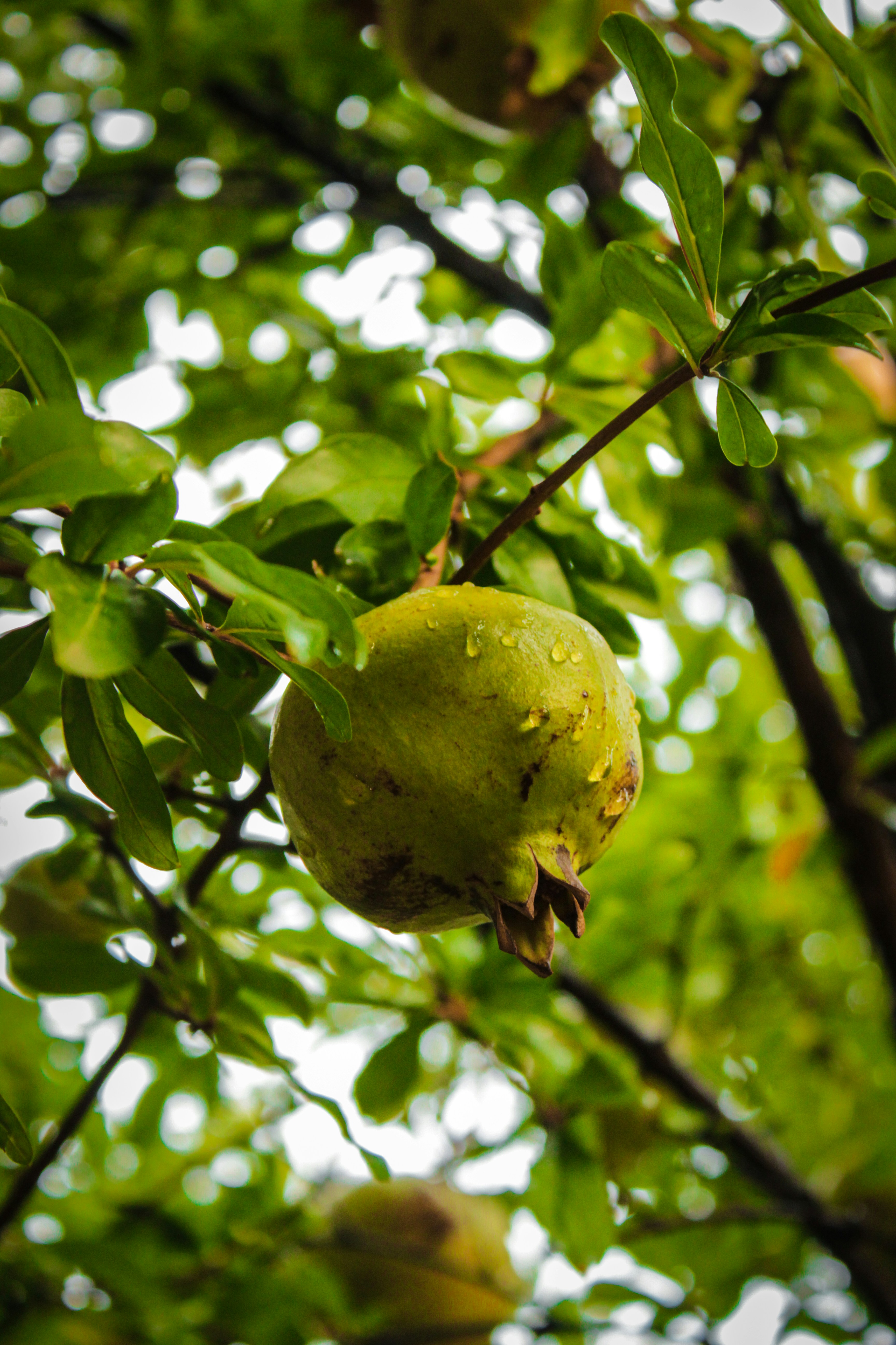 Photo by lensensational