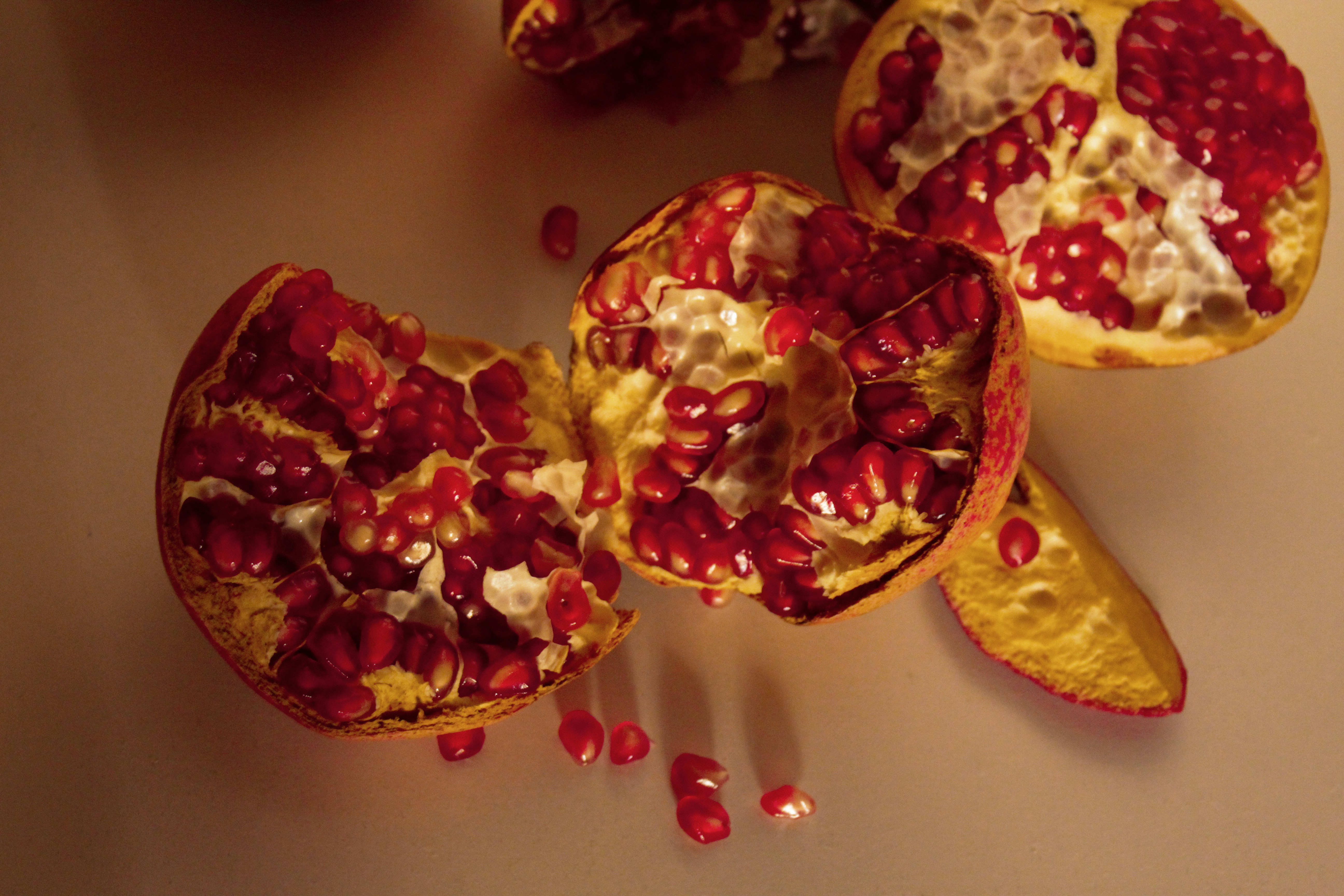 Photo by lensensational