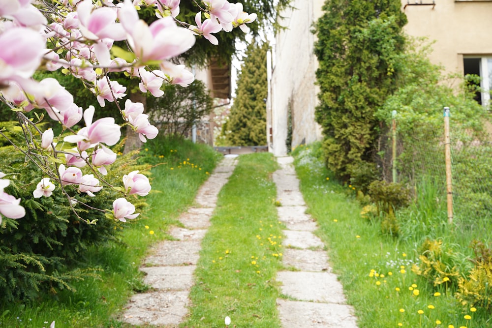 a path with flowers on it