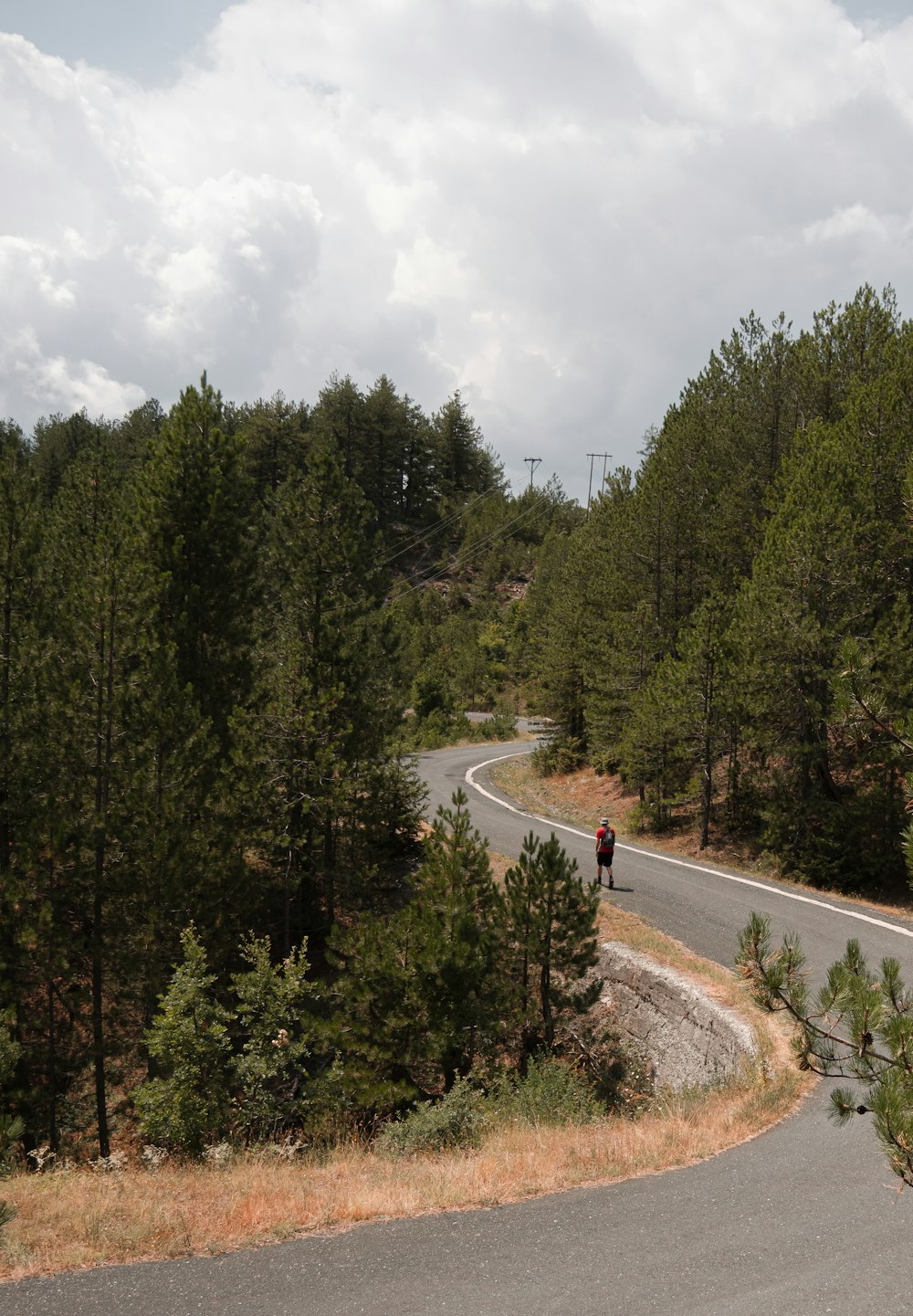 a person riding a bicycle on a road surrounded by trees