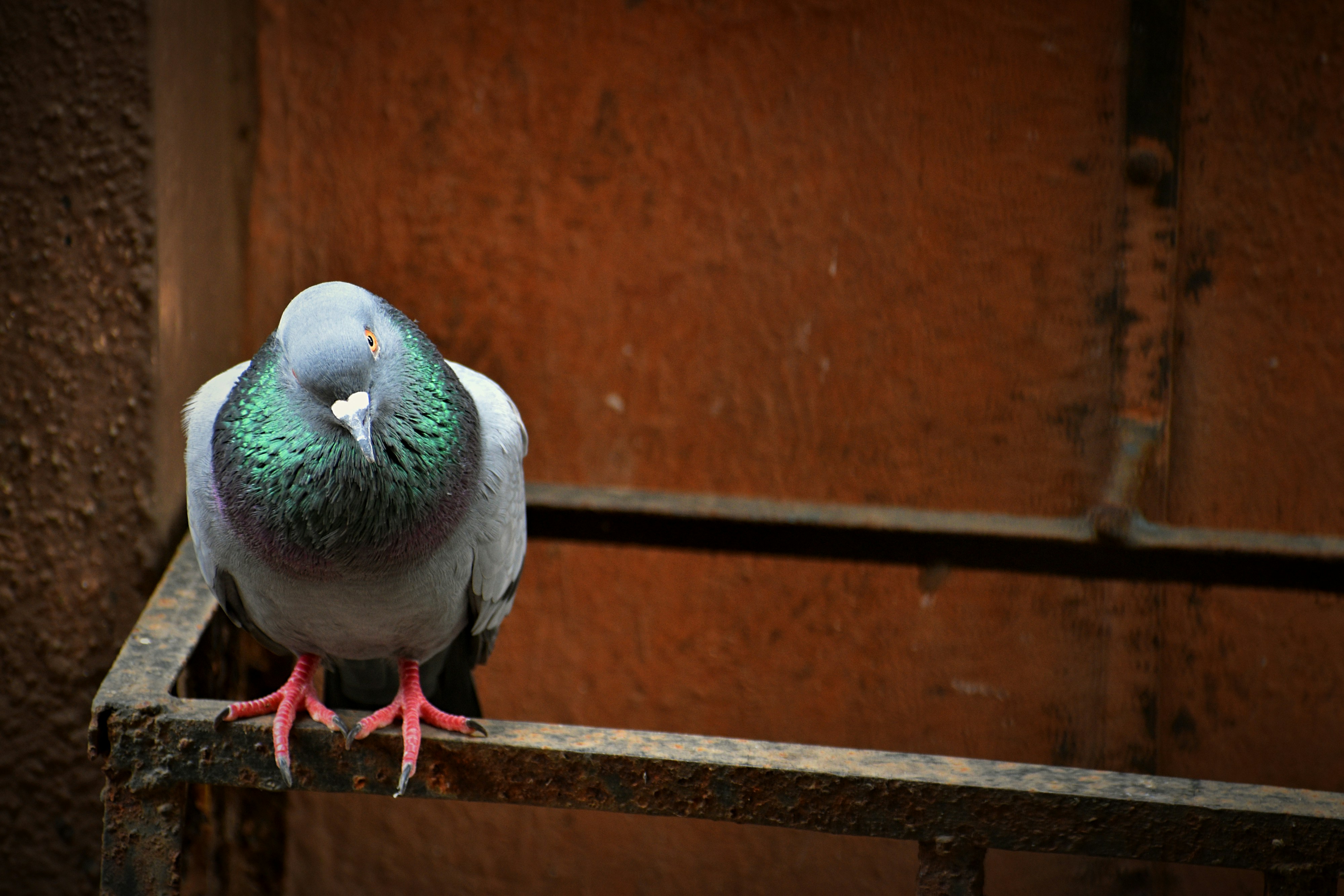 Photo by rishu_bhosale