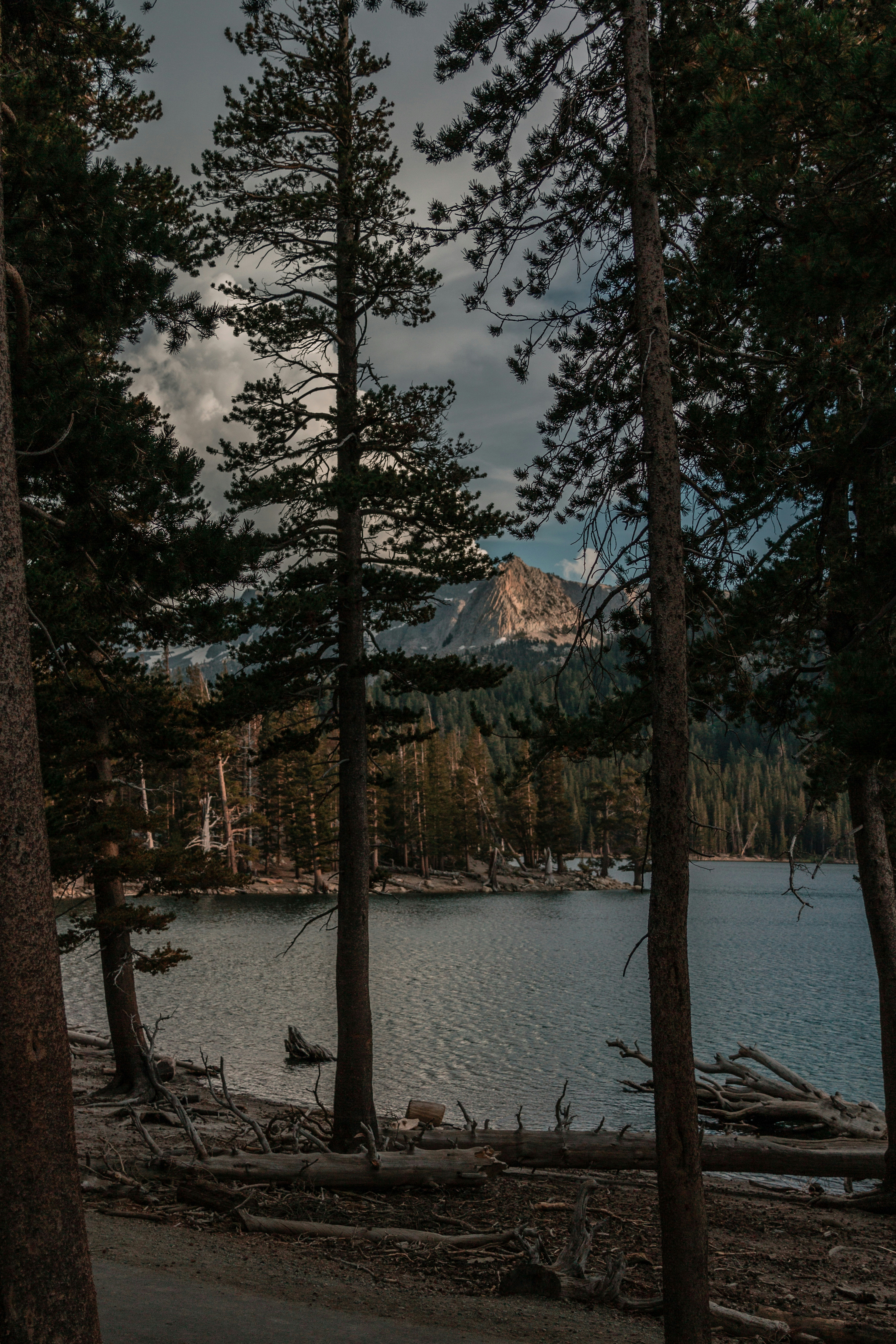 Photo by loubnad