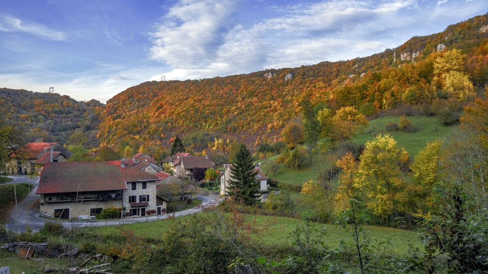 a house in a wooded area