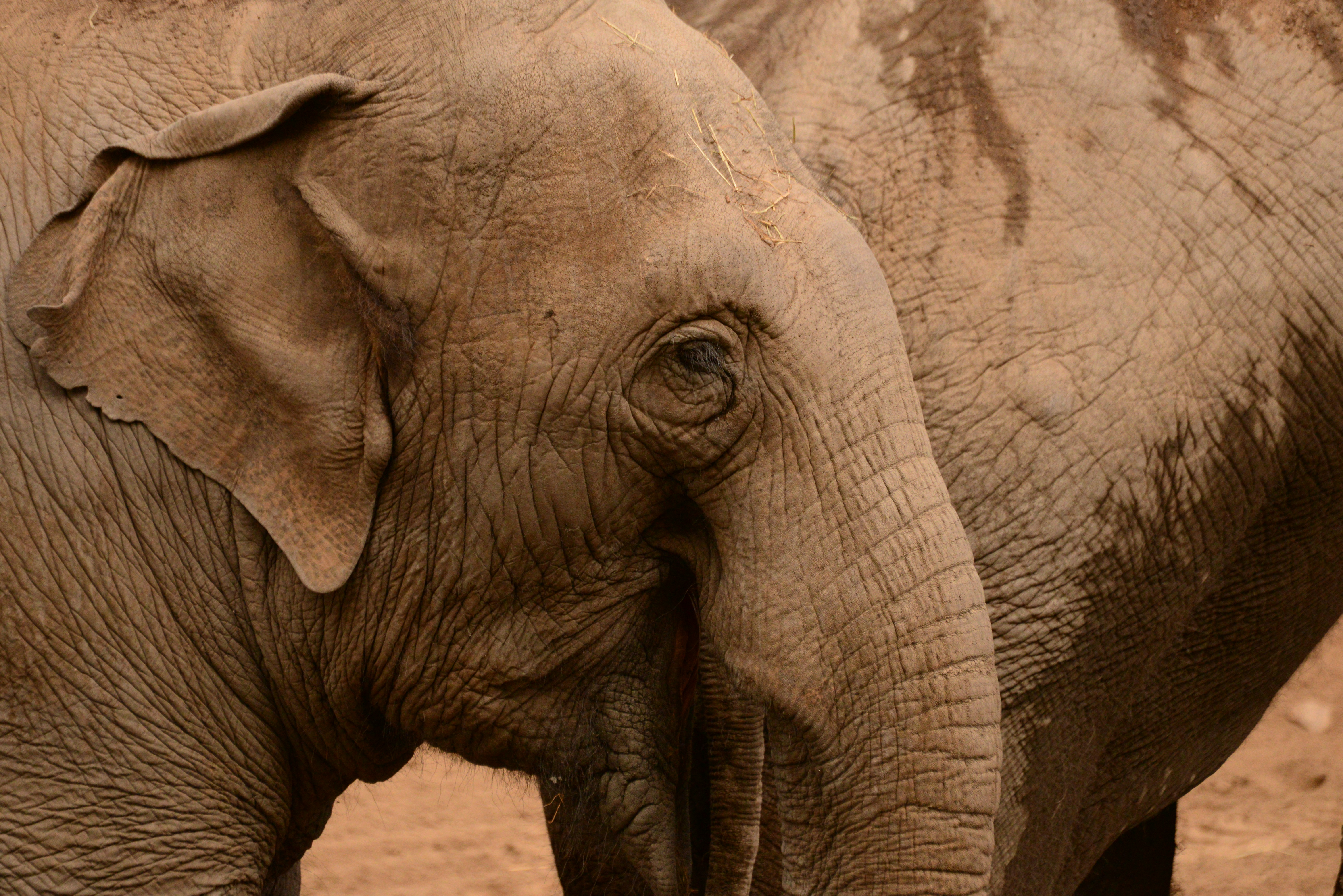 Photo by annarekstad