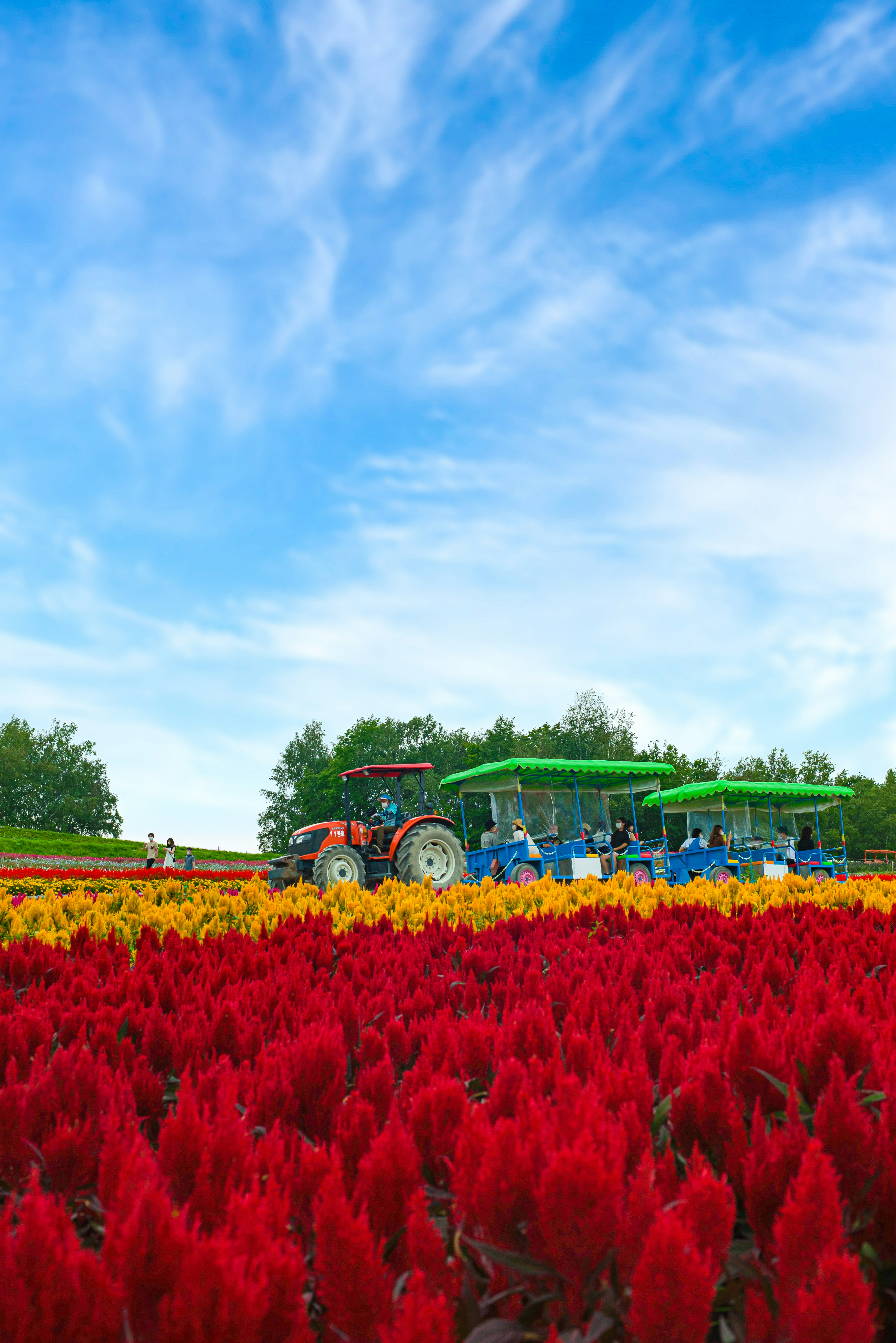 Getting Around Hokkaido in 2026