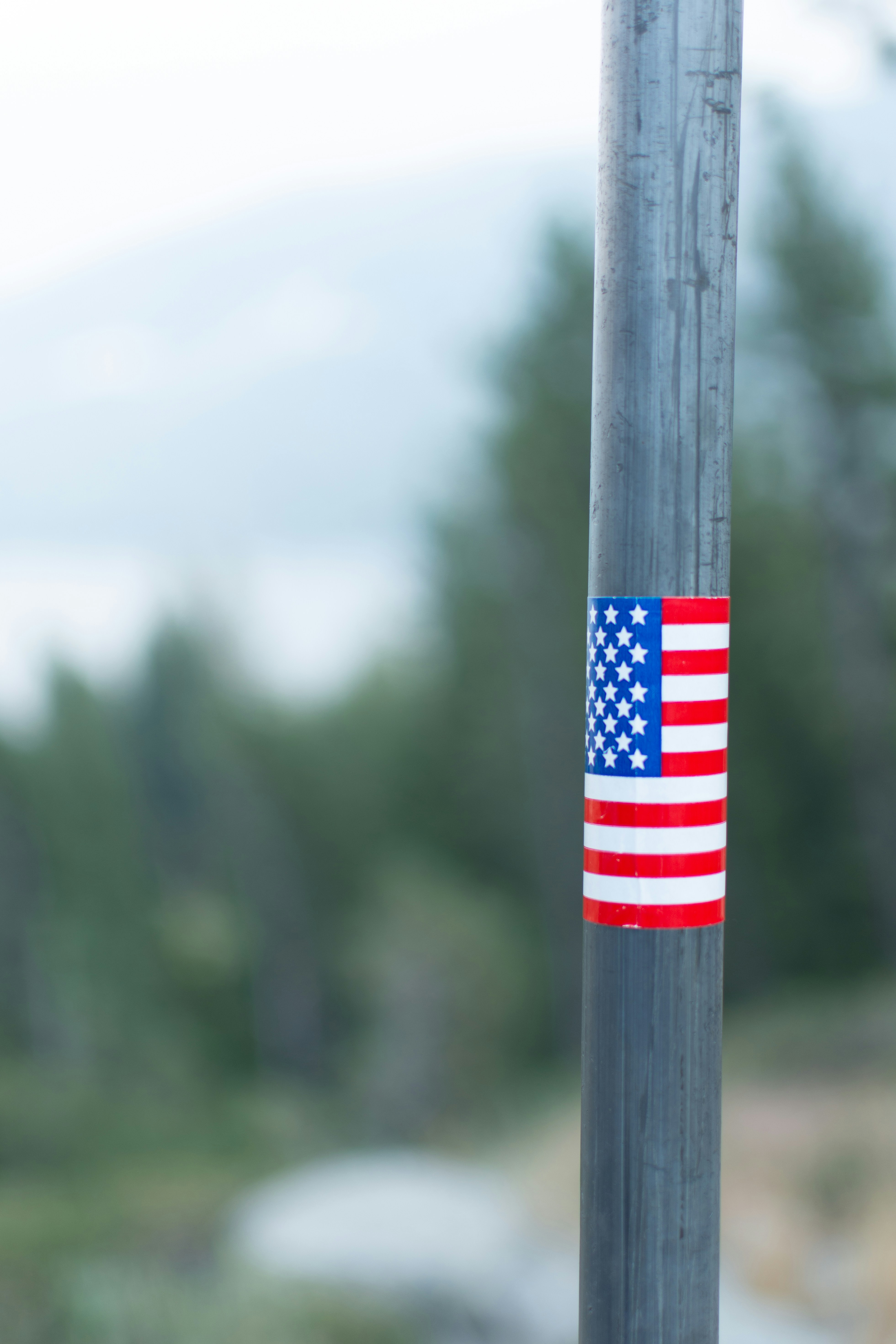 a flag on a pole