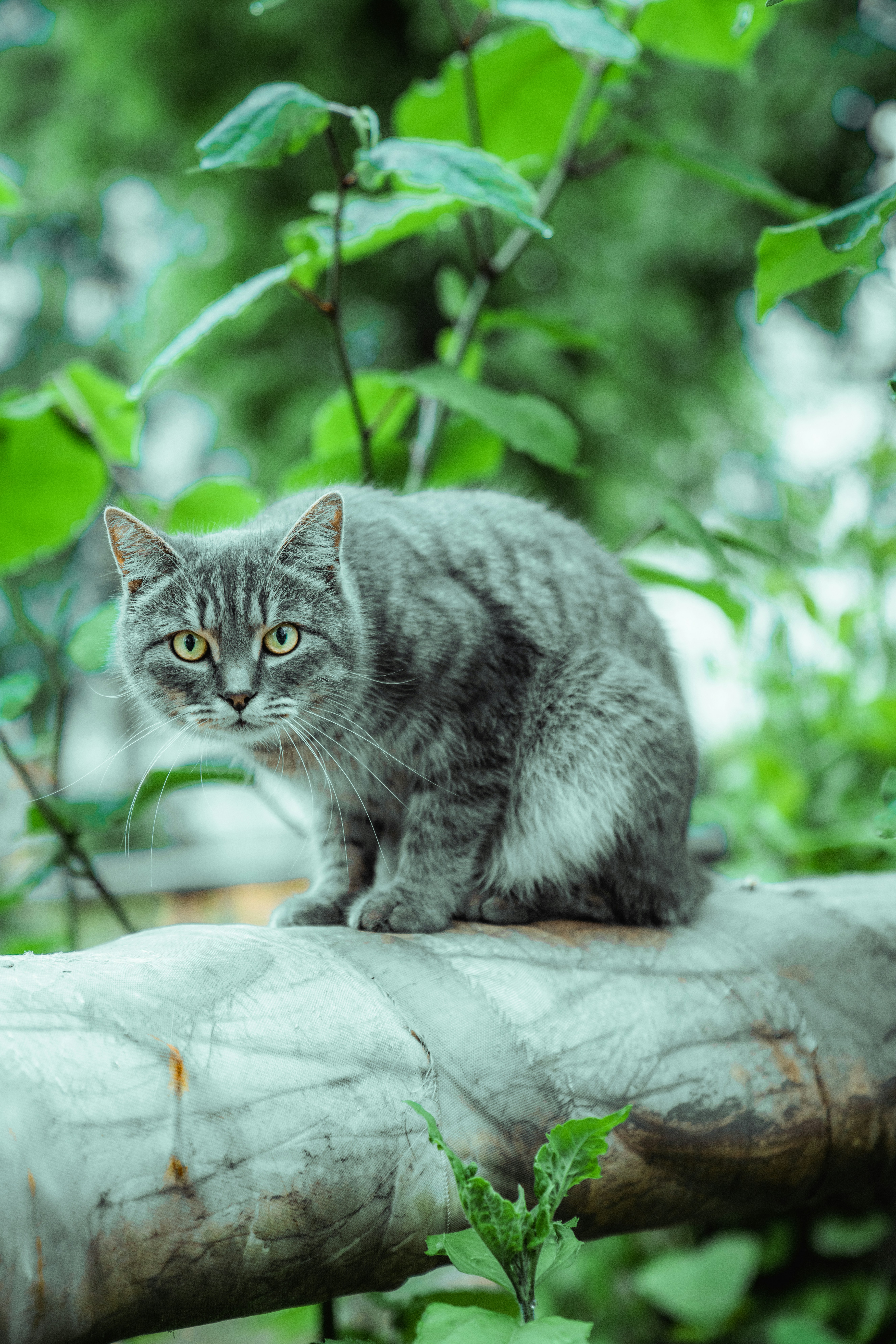 Photo by forevernever