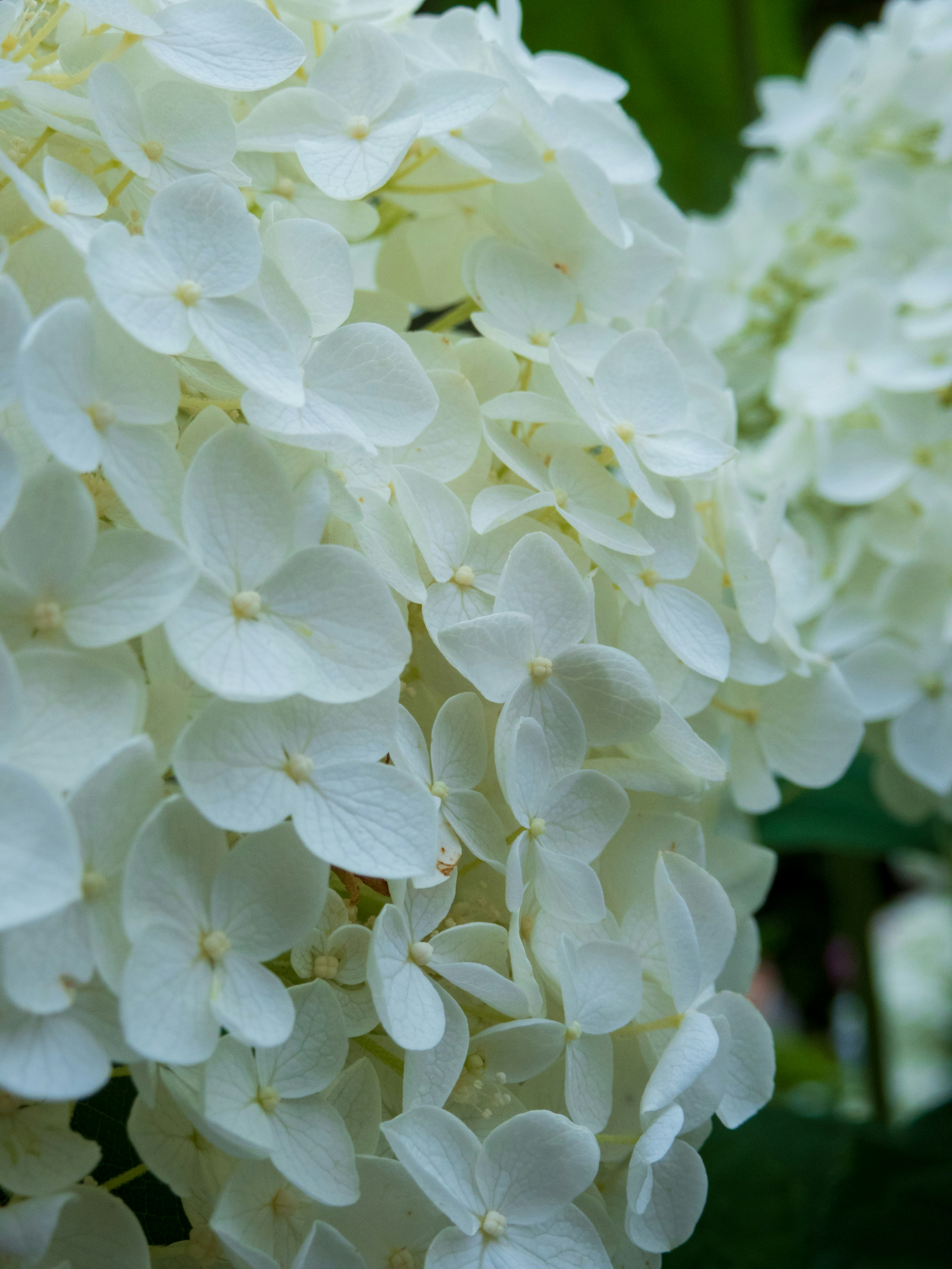 Photo by heppoko_yama