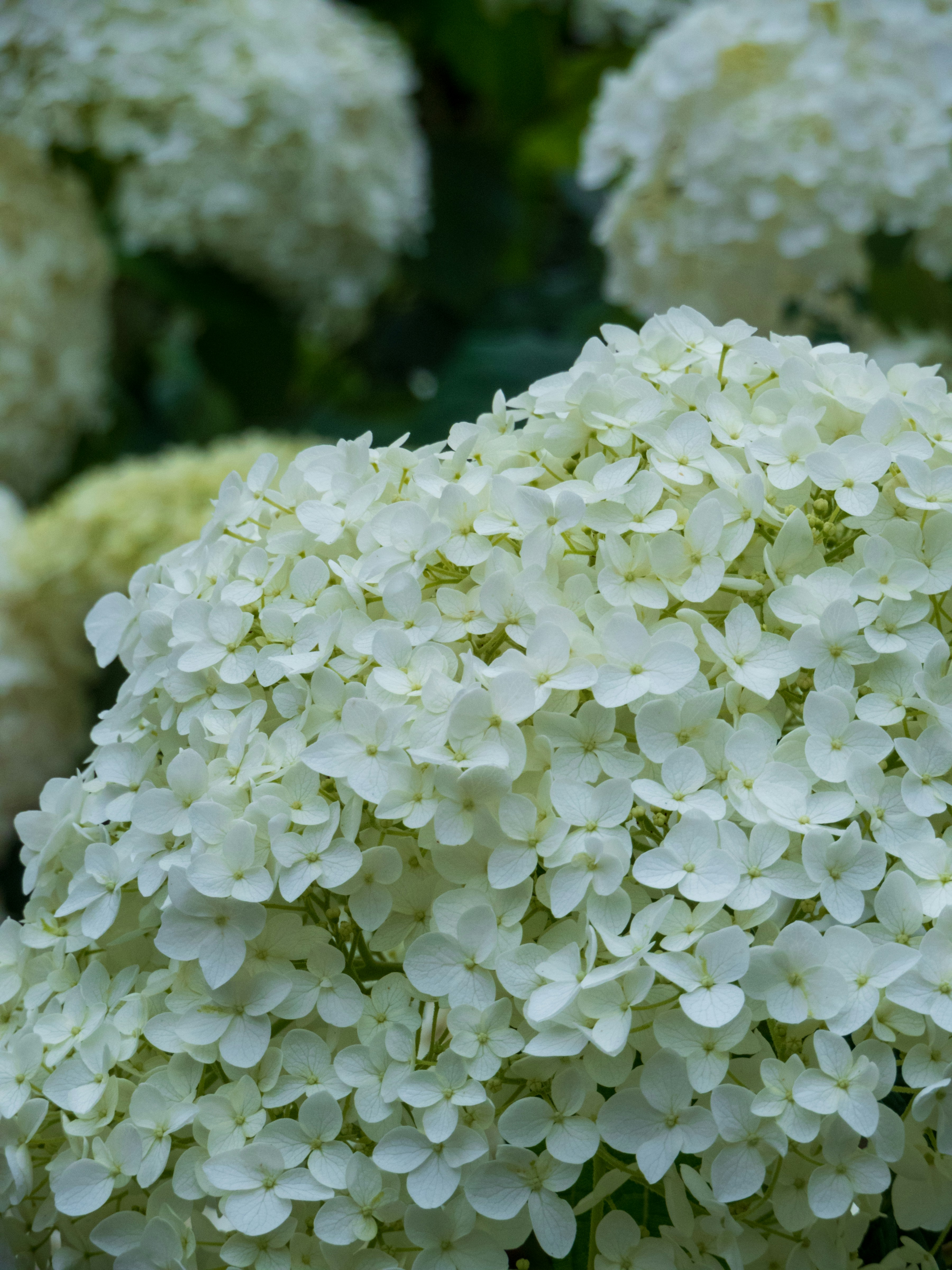 Photo by heppoko_yama