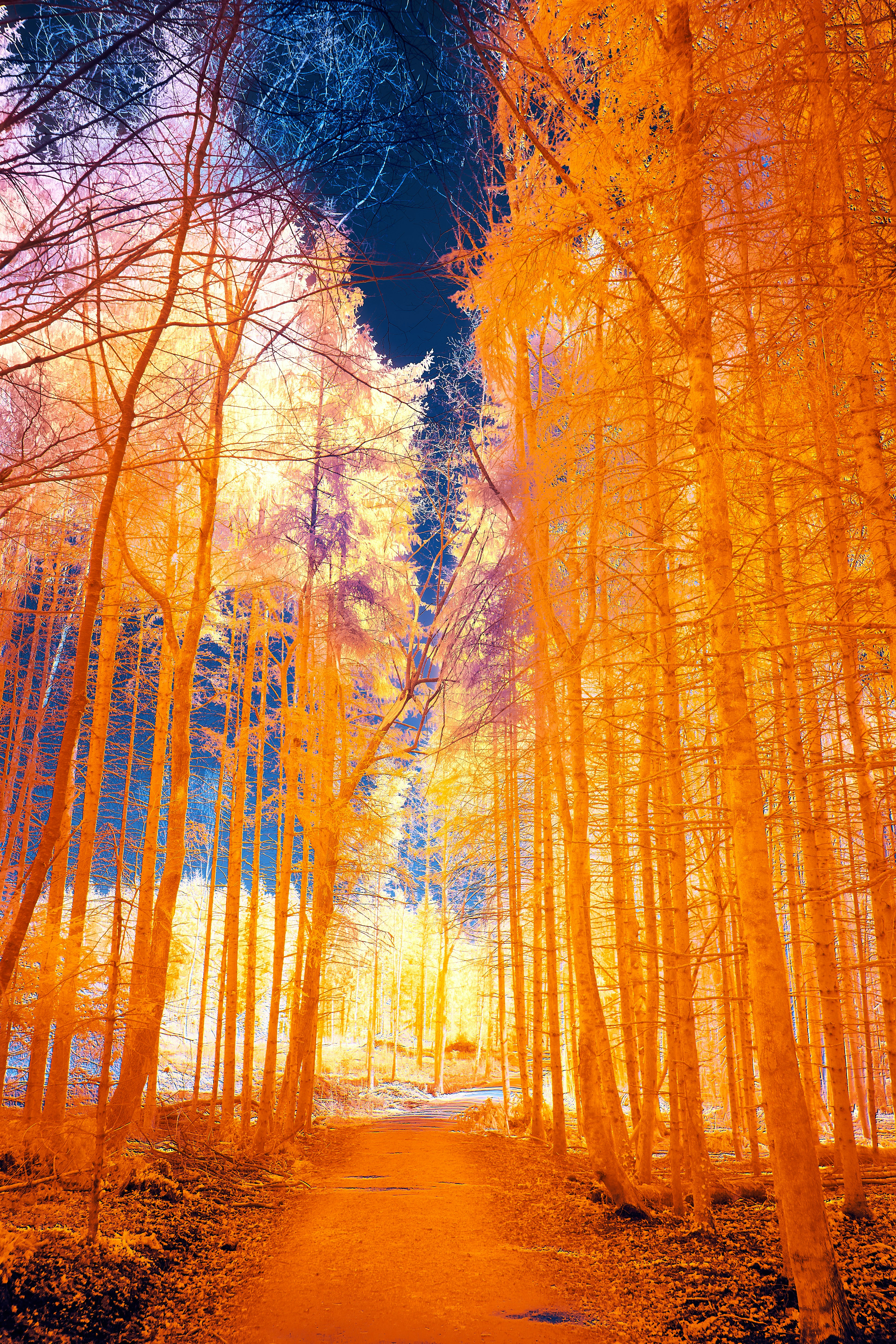 Photo by wolfgang_hasselmann