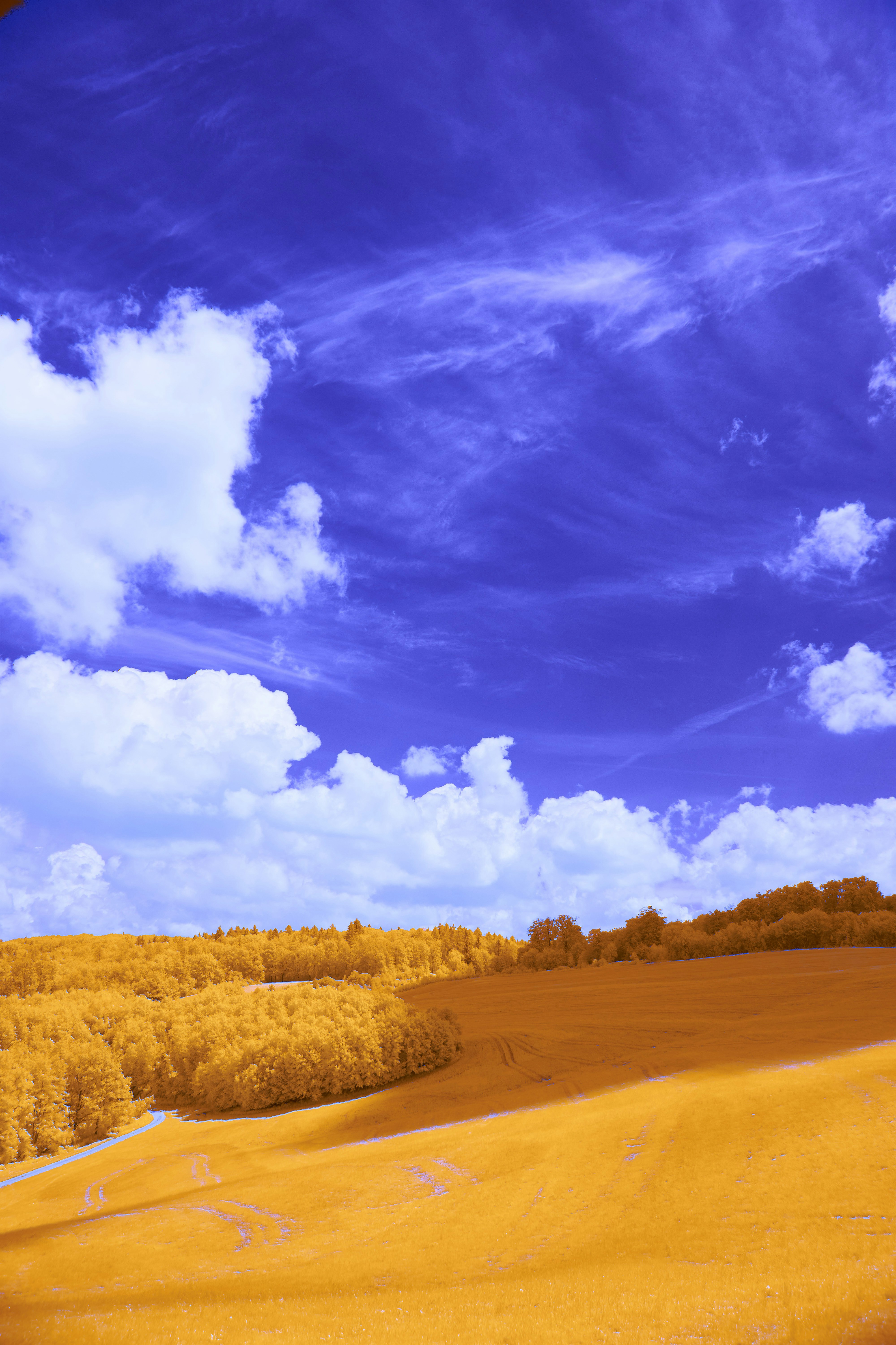 Photo by wolfgang_hasselmann