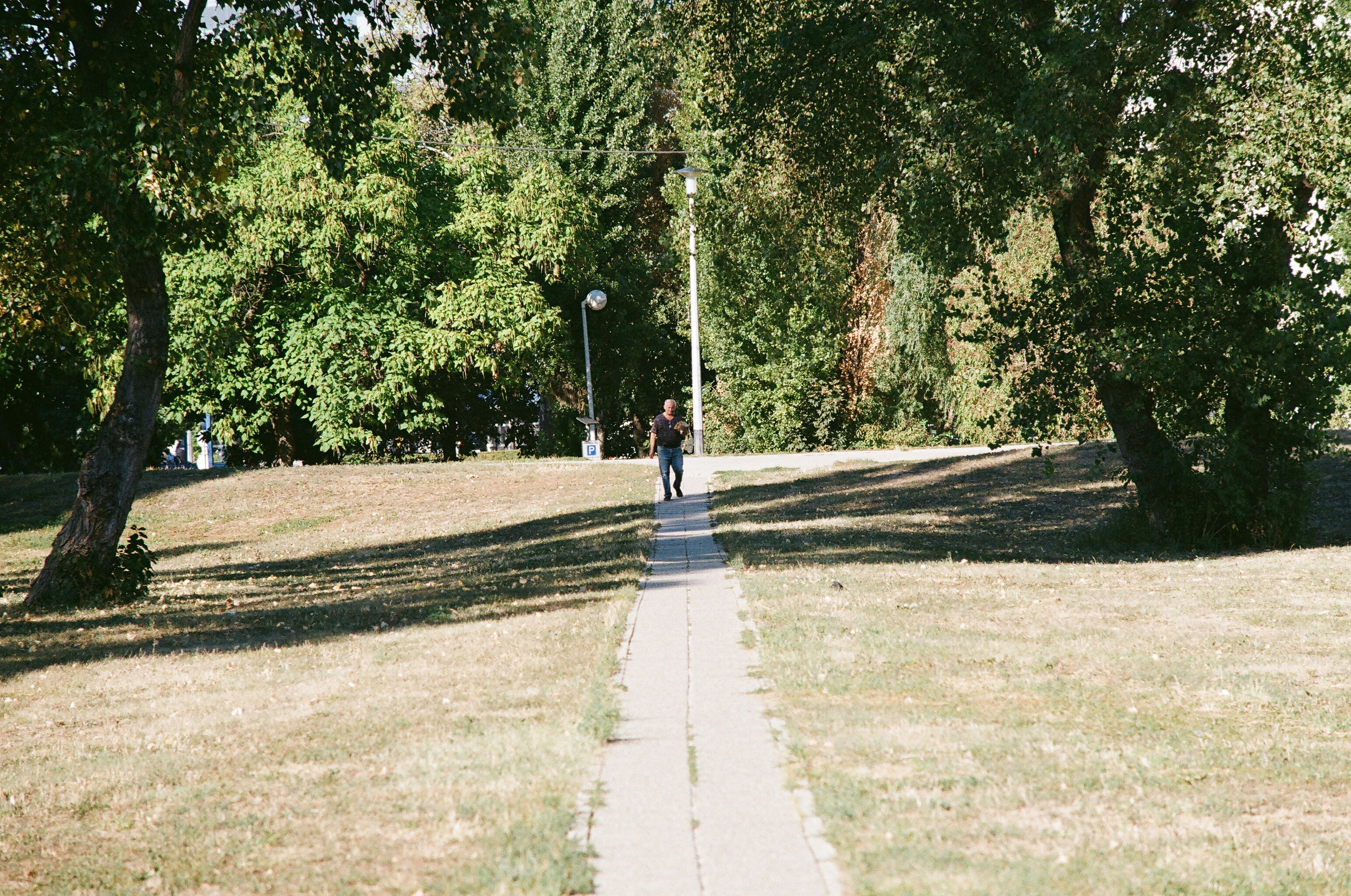 A person on a light walk in a park, enjoying the fresh air and gentle movement - speed up recovery