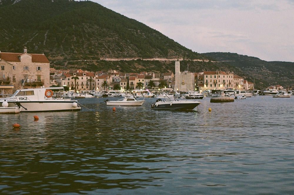 boats in the water