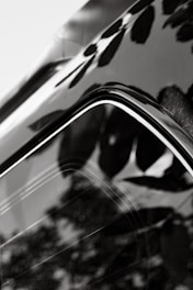 A close-up of a shiny car surface reflecting sunlight.