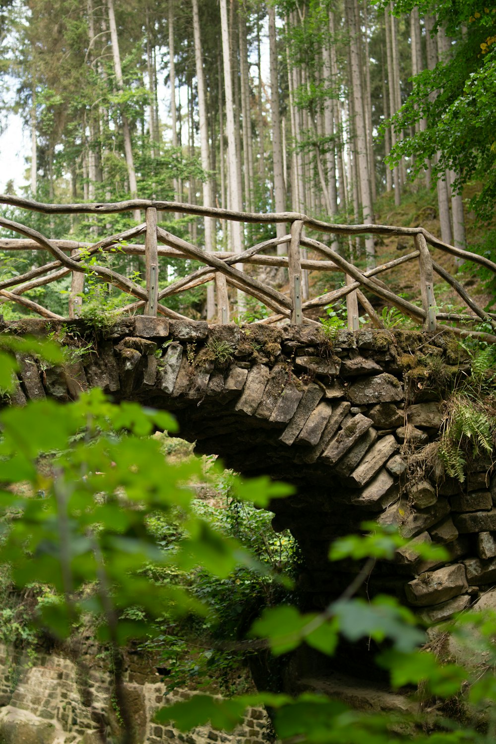 a bridge over a stream in the woods