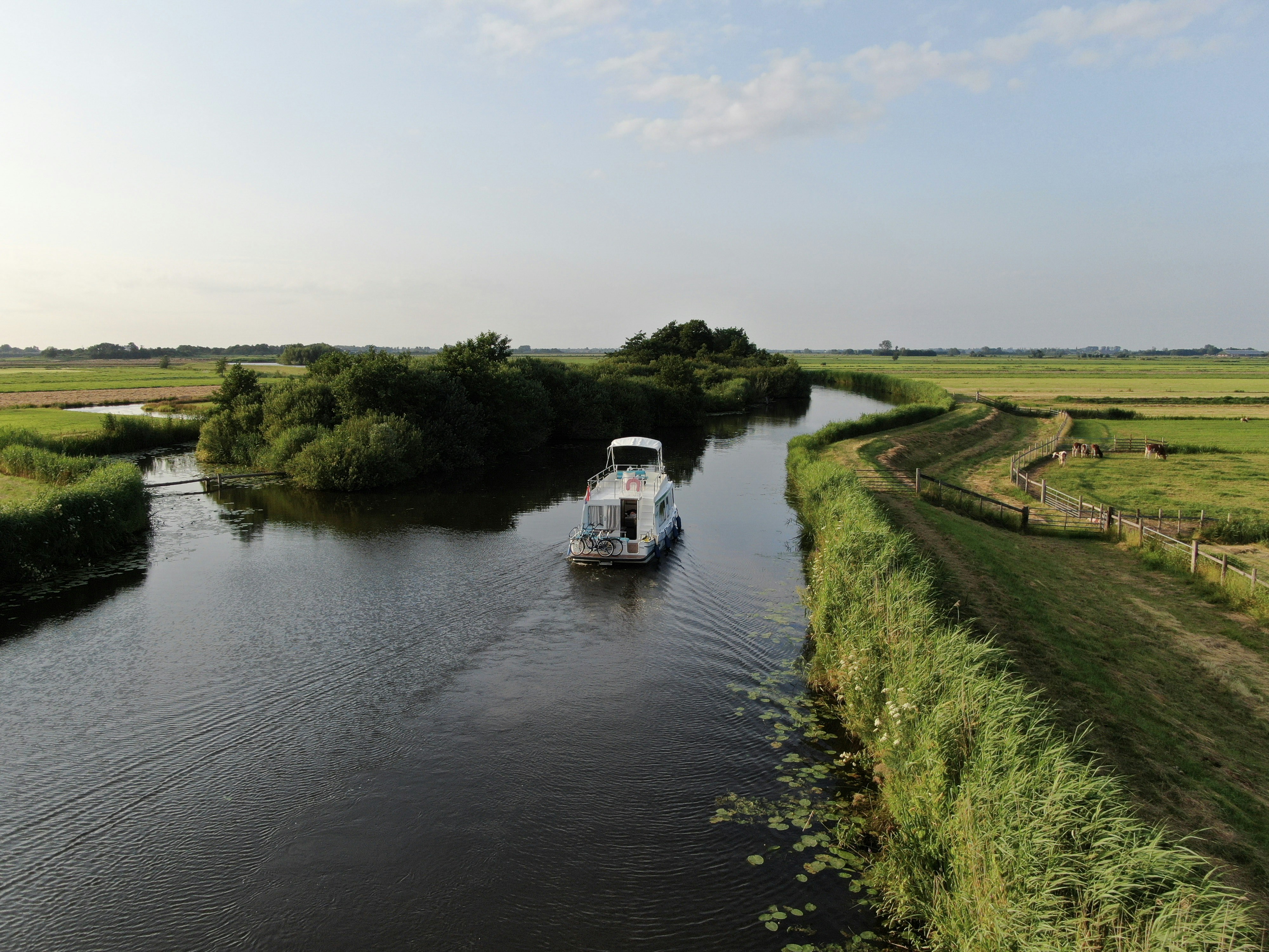 Afbeelding van Kamerik