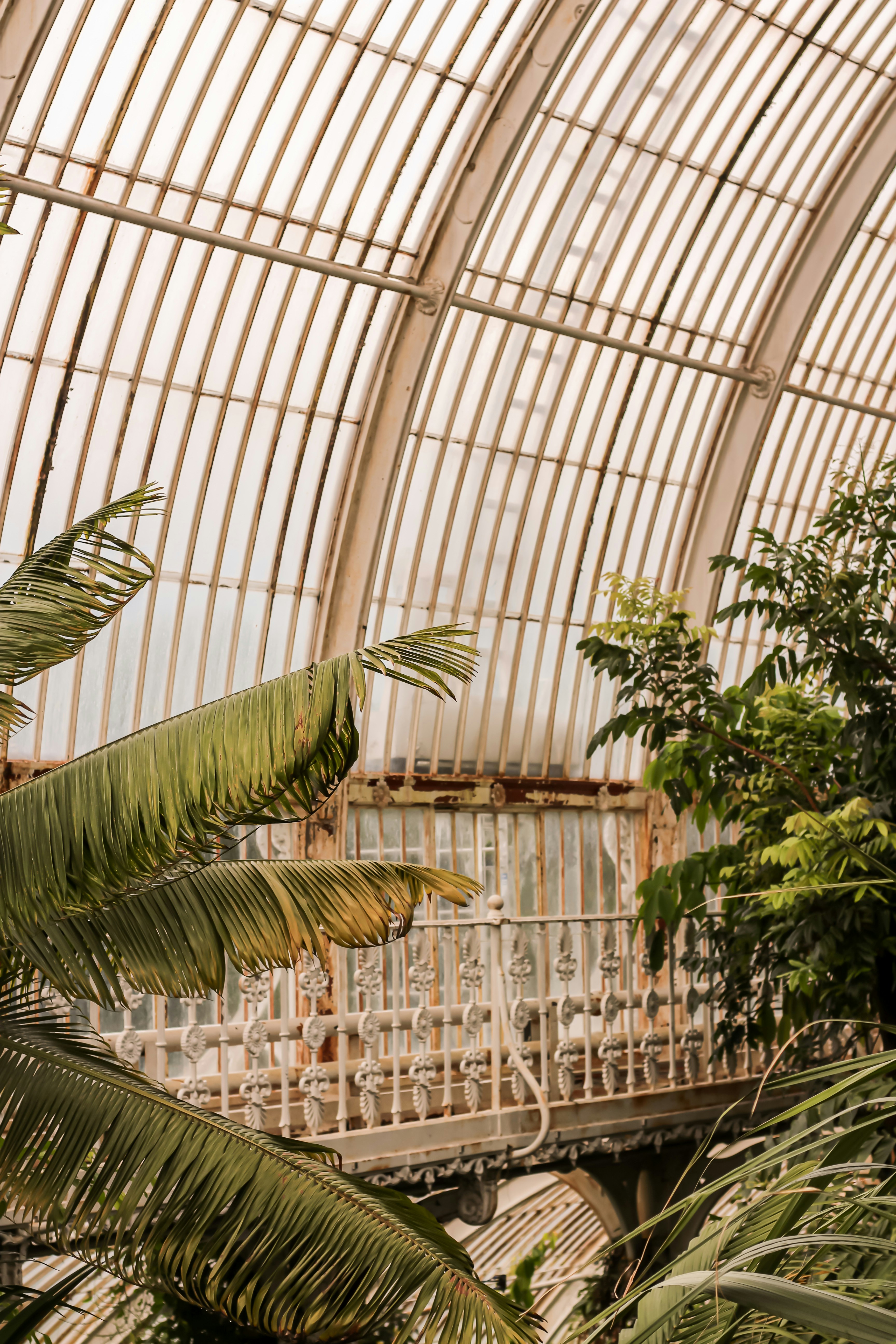 Photo by midget_gem19