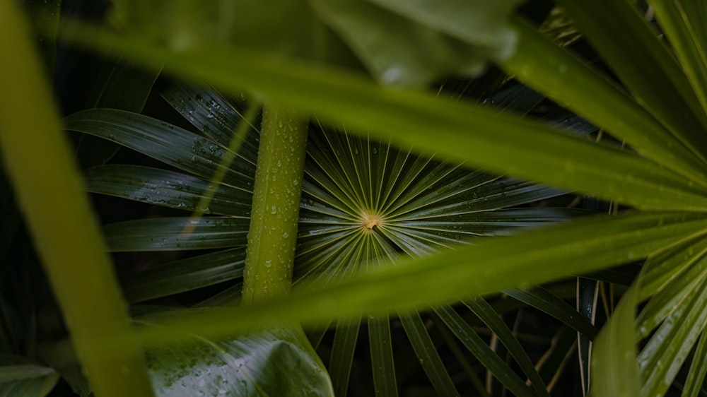 a close up of a spider web