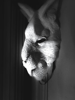A textured animal mask resembling a rabbit, crafted in a way that emphasizes contours and fur-like details, hangs on a wall. The lighting creates a stark contrast, casting deep shadows that add depth to the features.