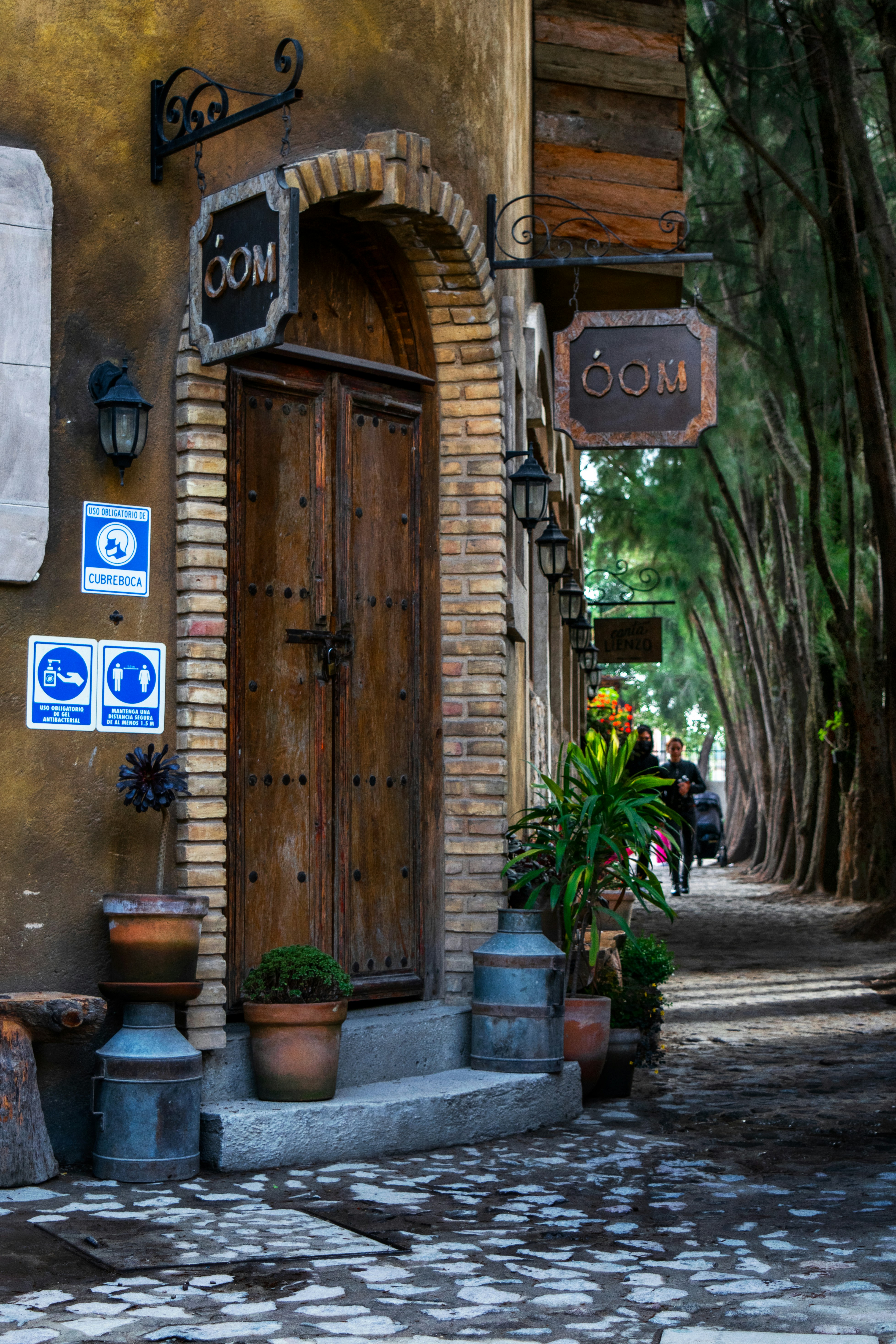 a door with flowers in front of it