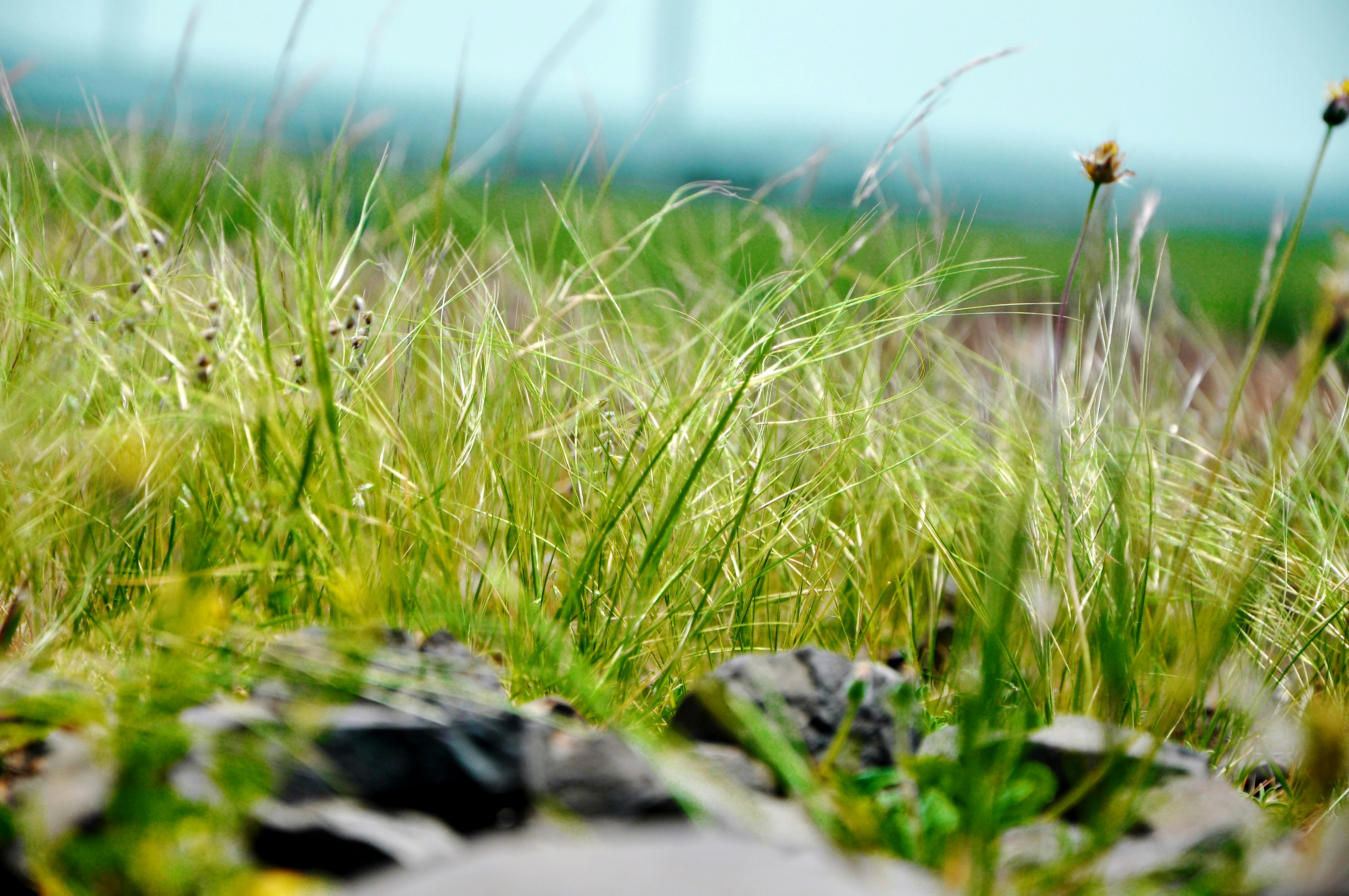 Photo by jaiifx3