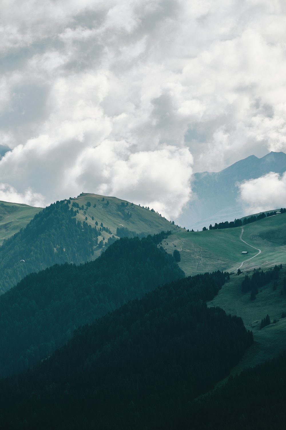 a mountain with a road and trees