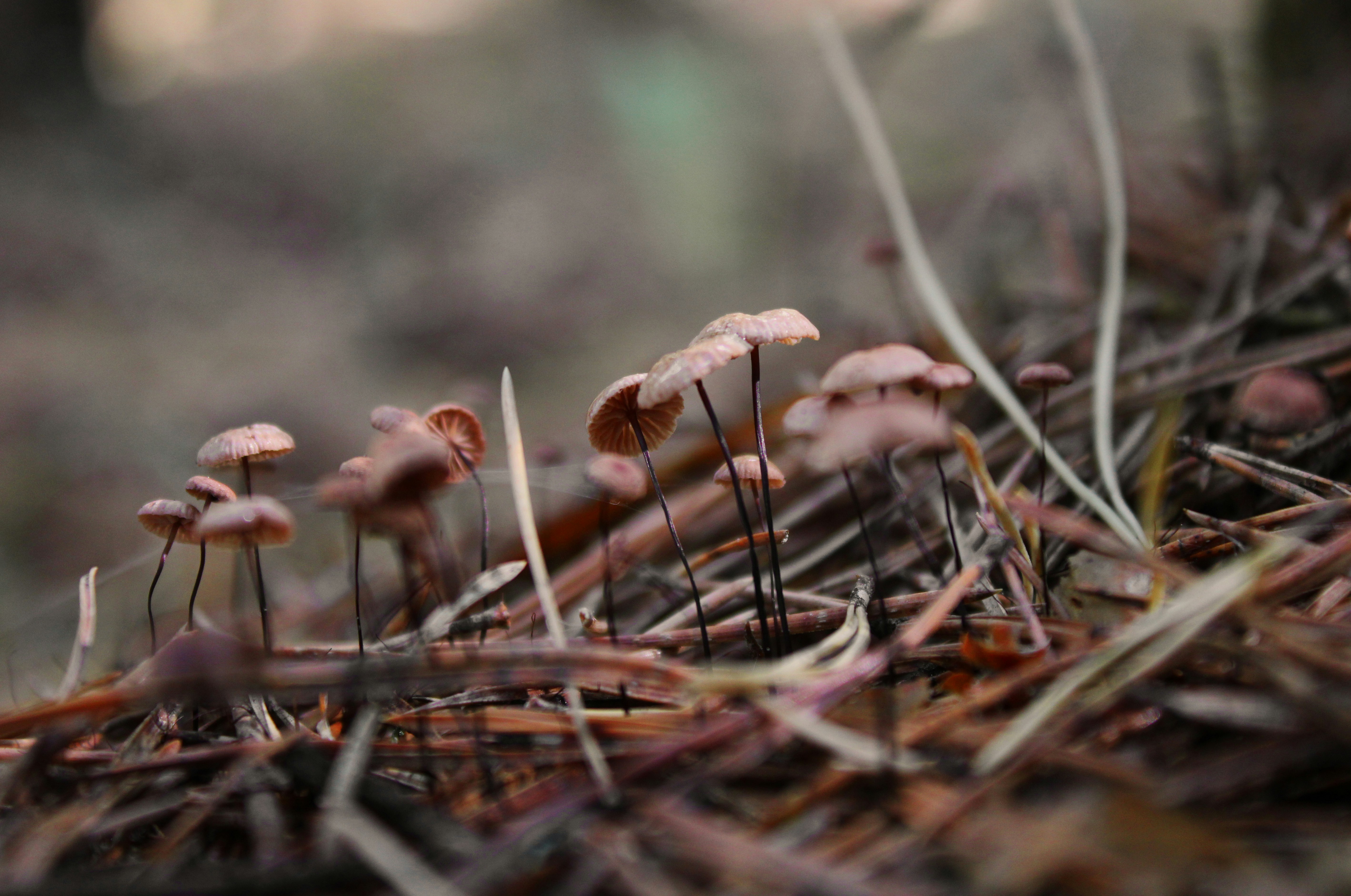 Photo by slenderamigo