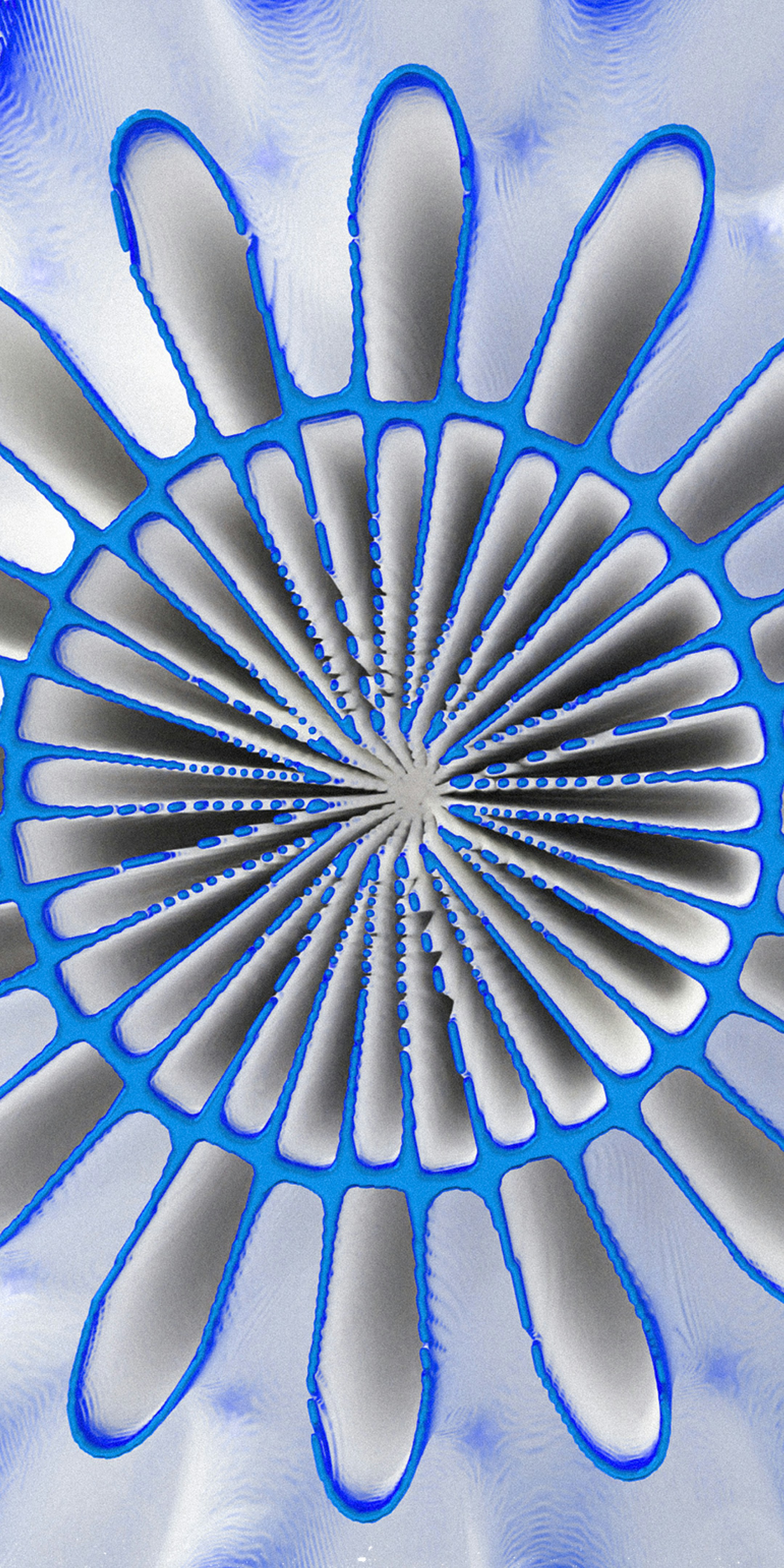 Photo by wallsbysmit