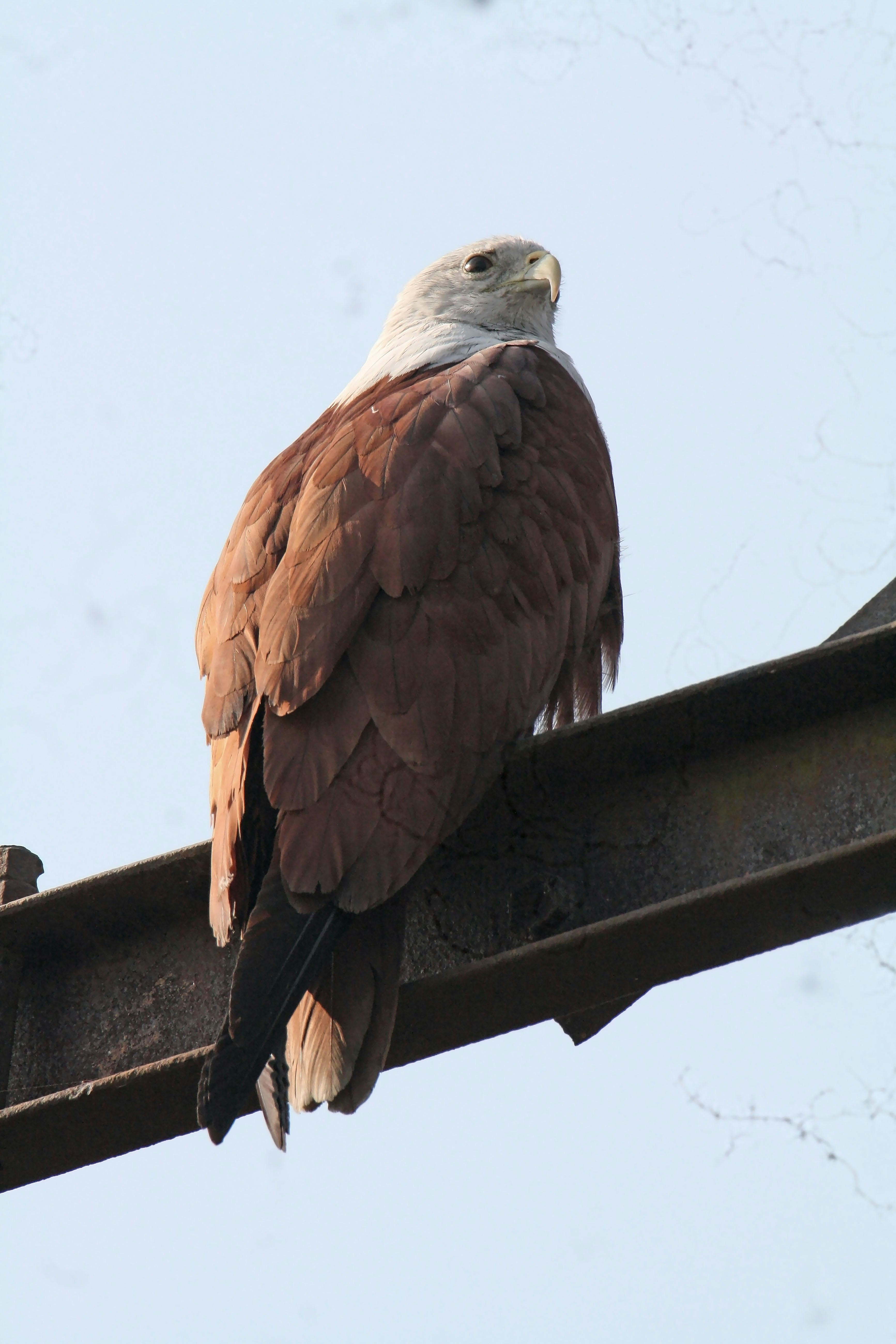 Photo by sylvester_123