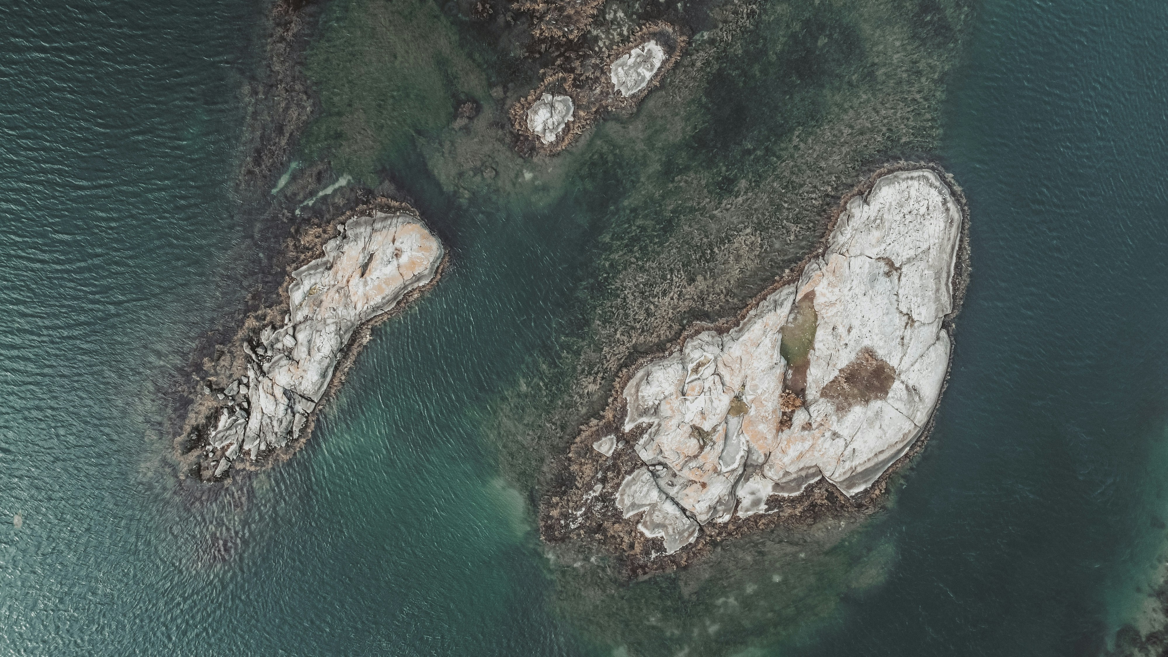 Photo by not_as_cool