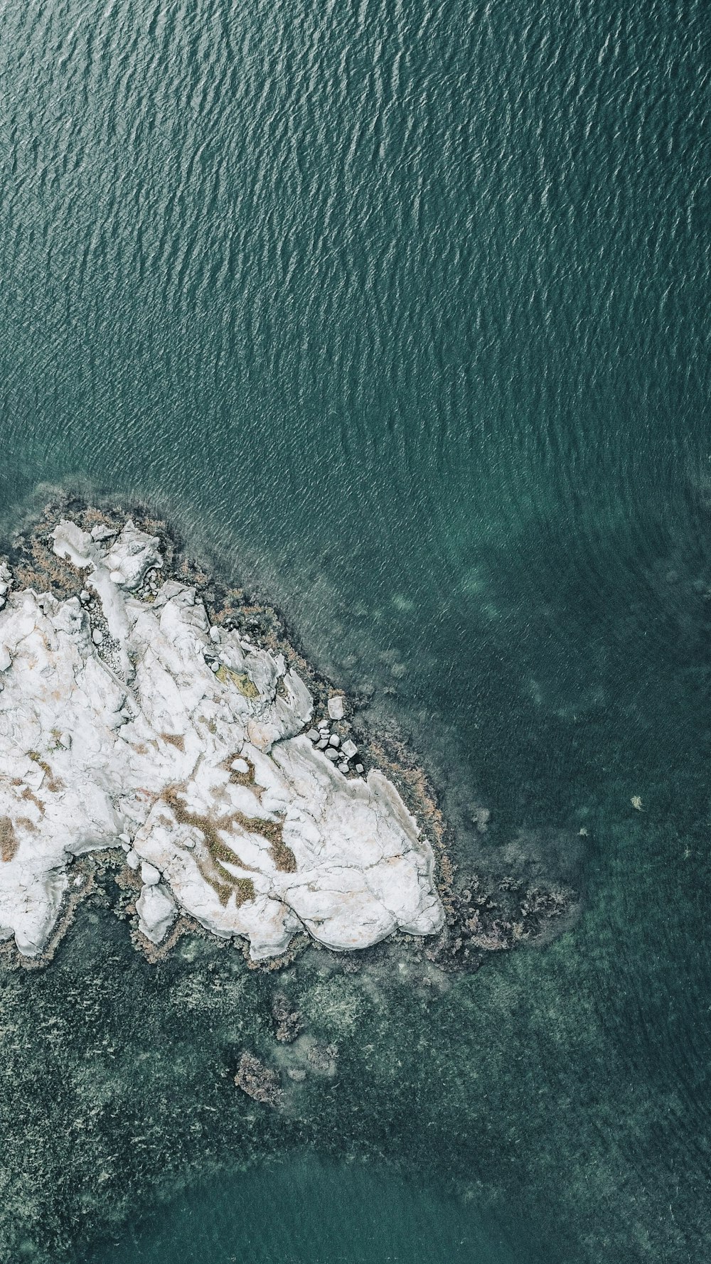 a white rock on a green surface