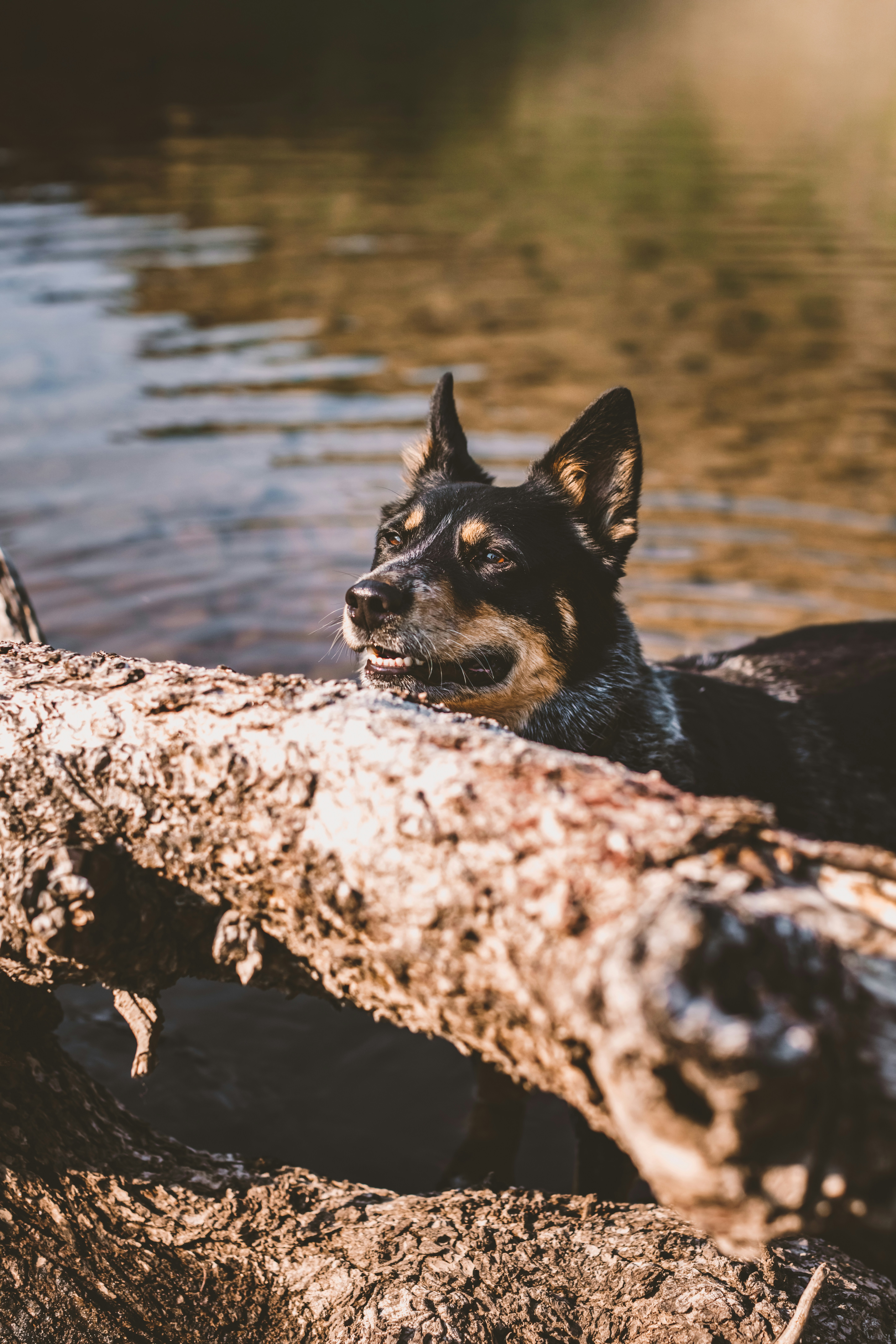 Photo by worldsbetweenlines